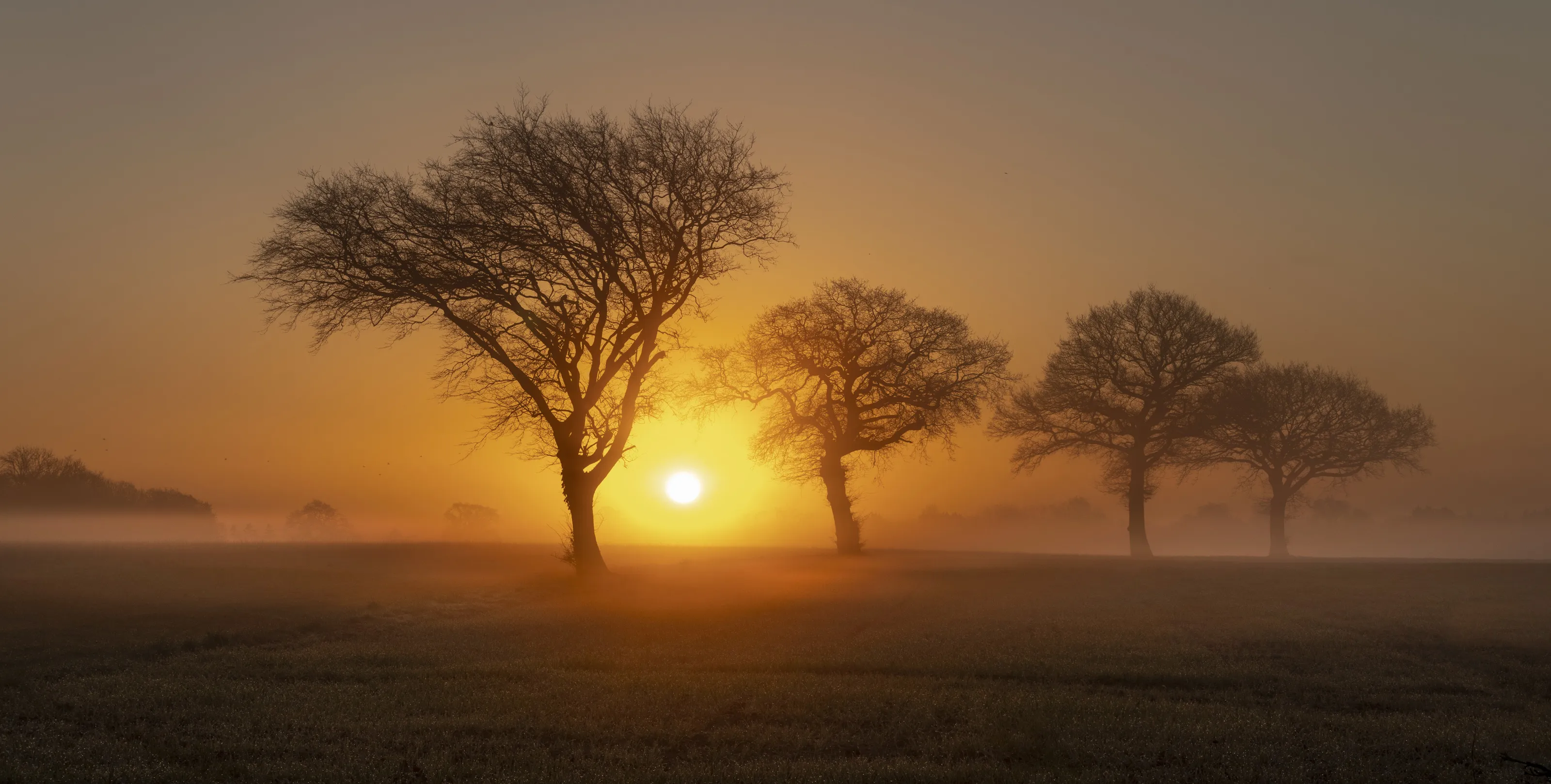 Misty sunrise
