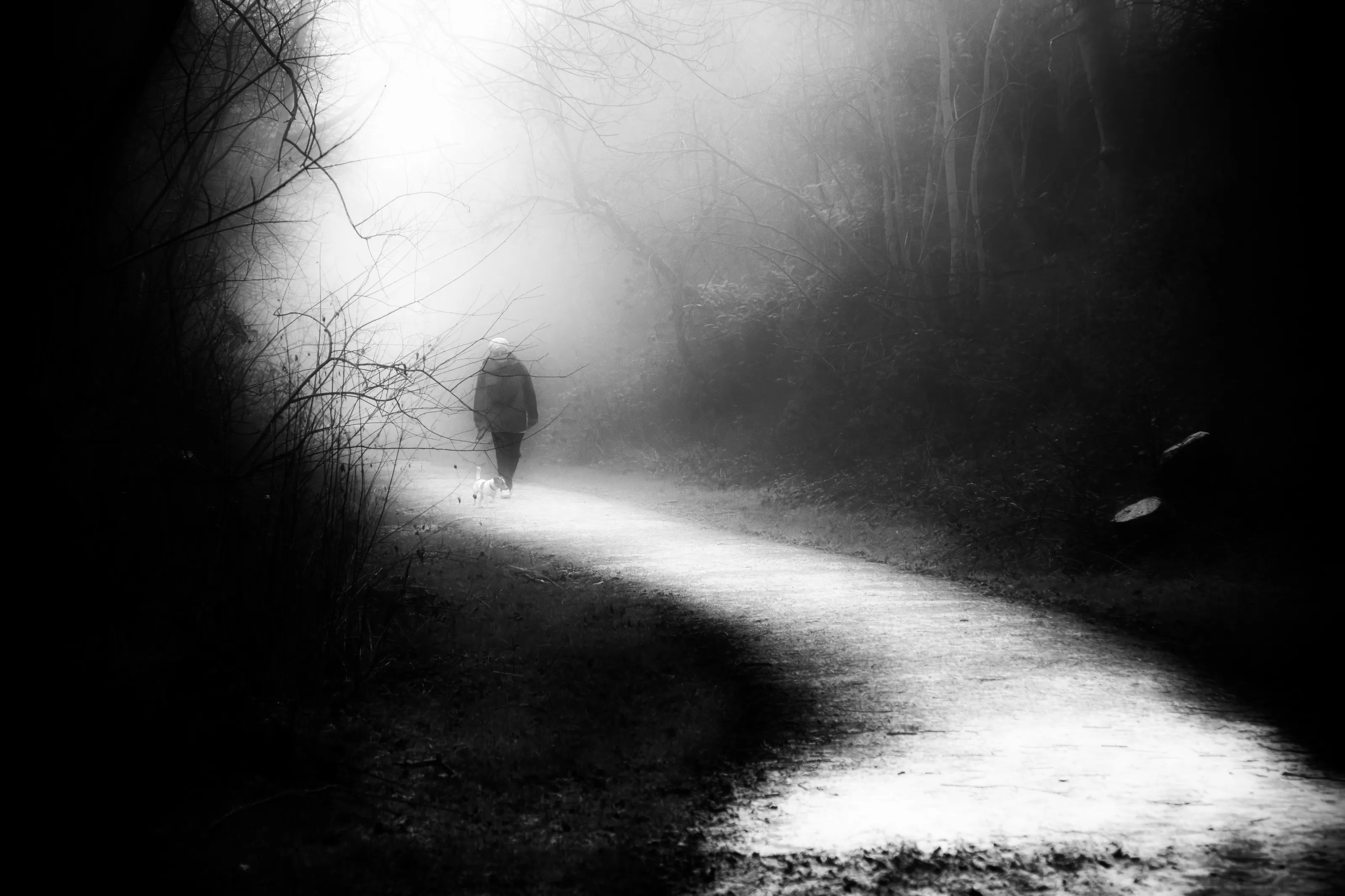 Misty Morning in Black & White
