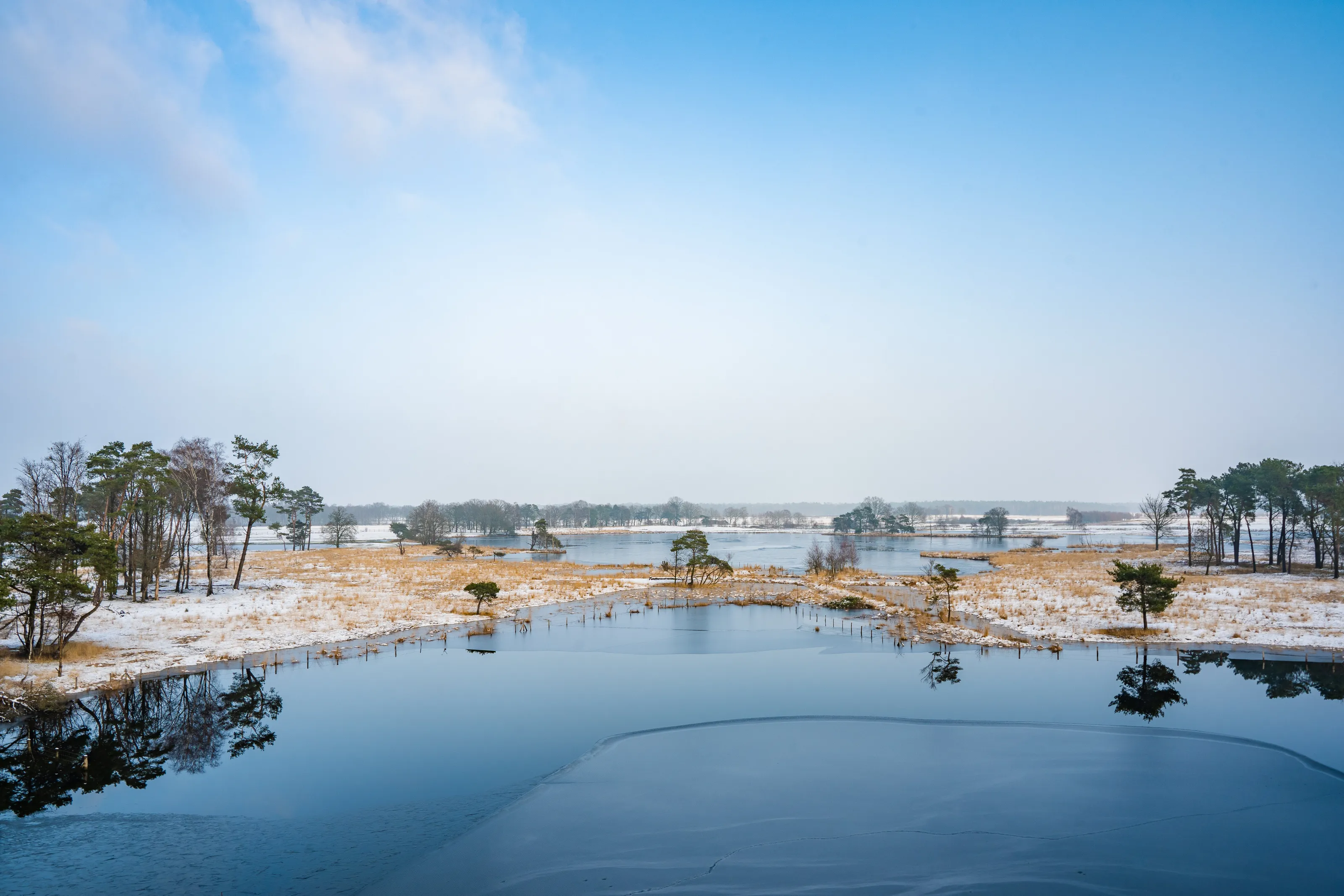 Winter landscape