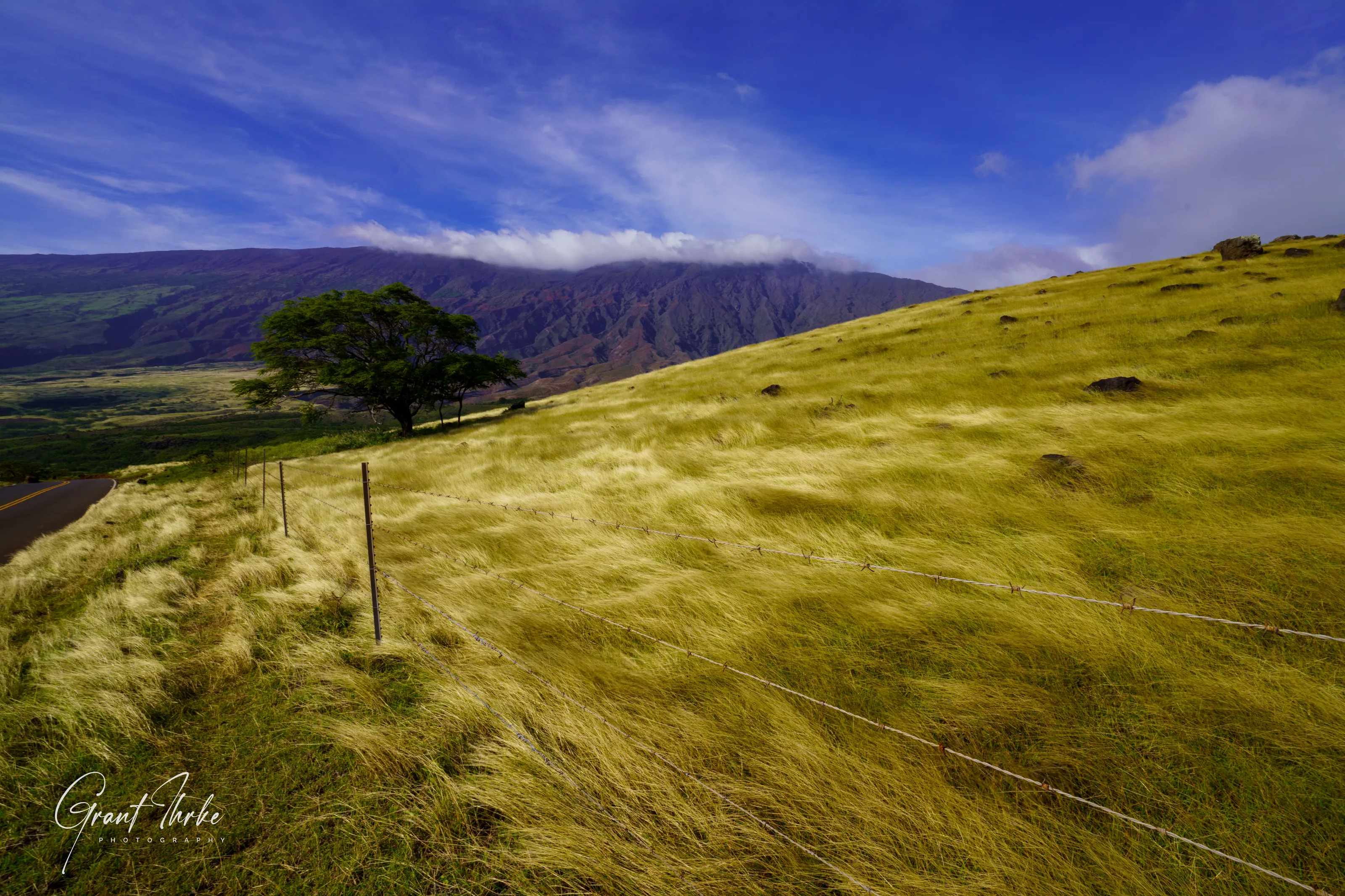 GOLDEN MAUI SLOPES