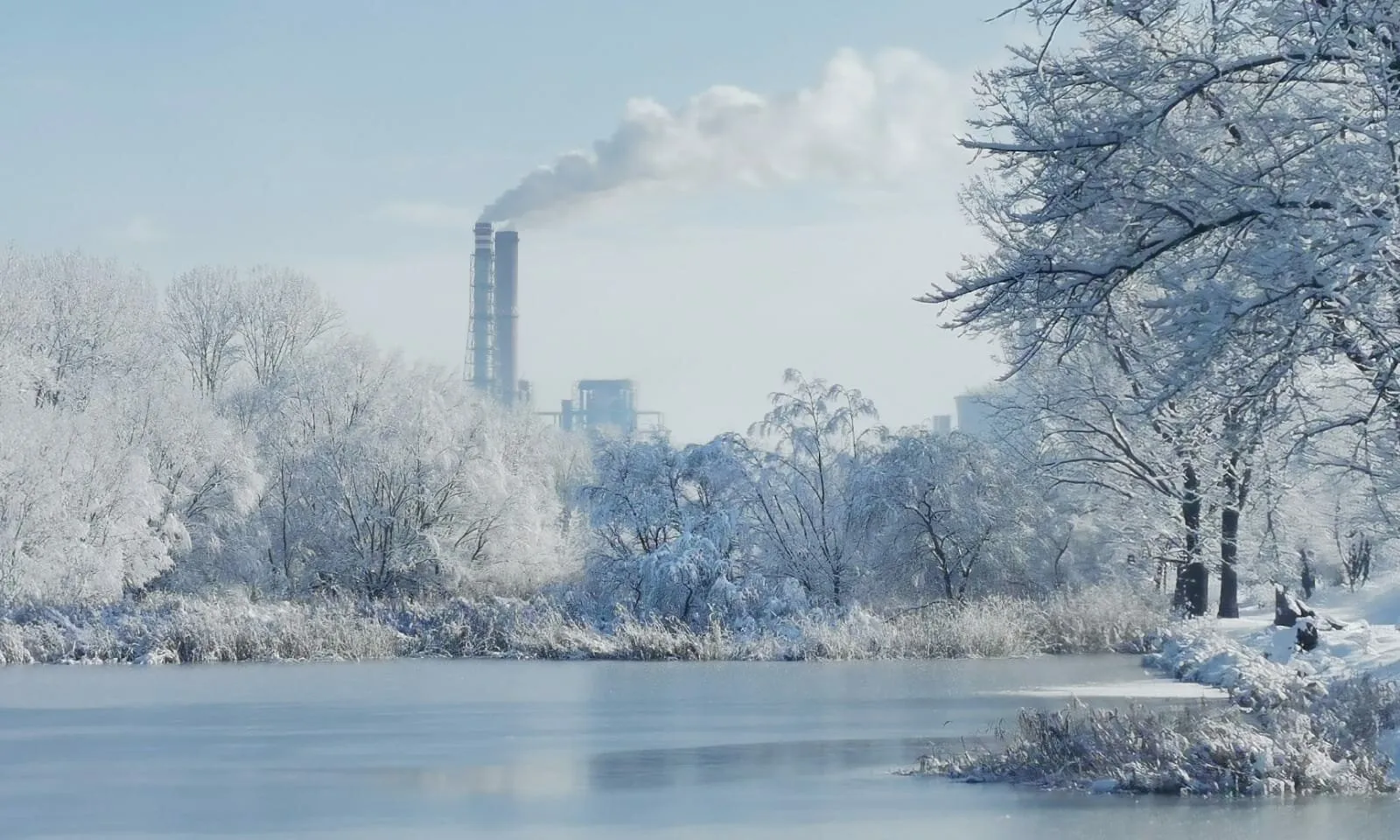 When nature meets industry