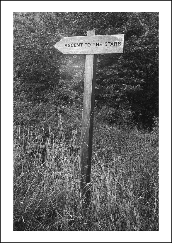 Ascent To The Stars