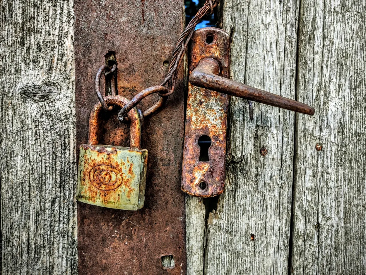 Entry 25411922