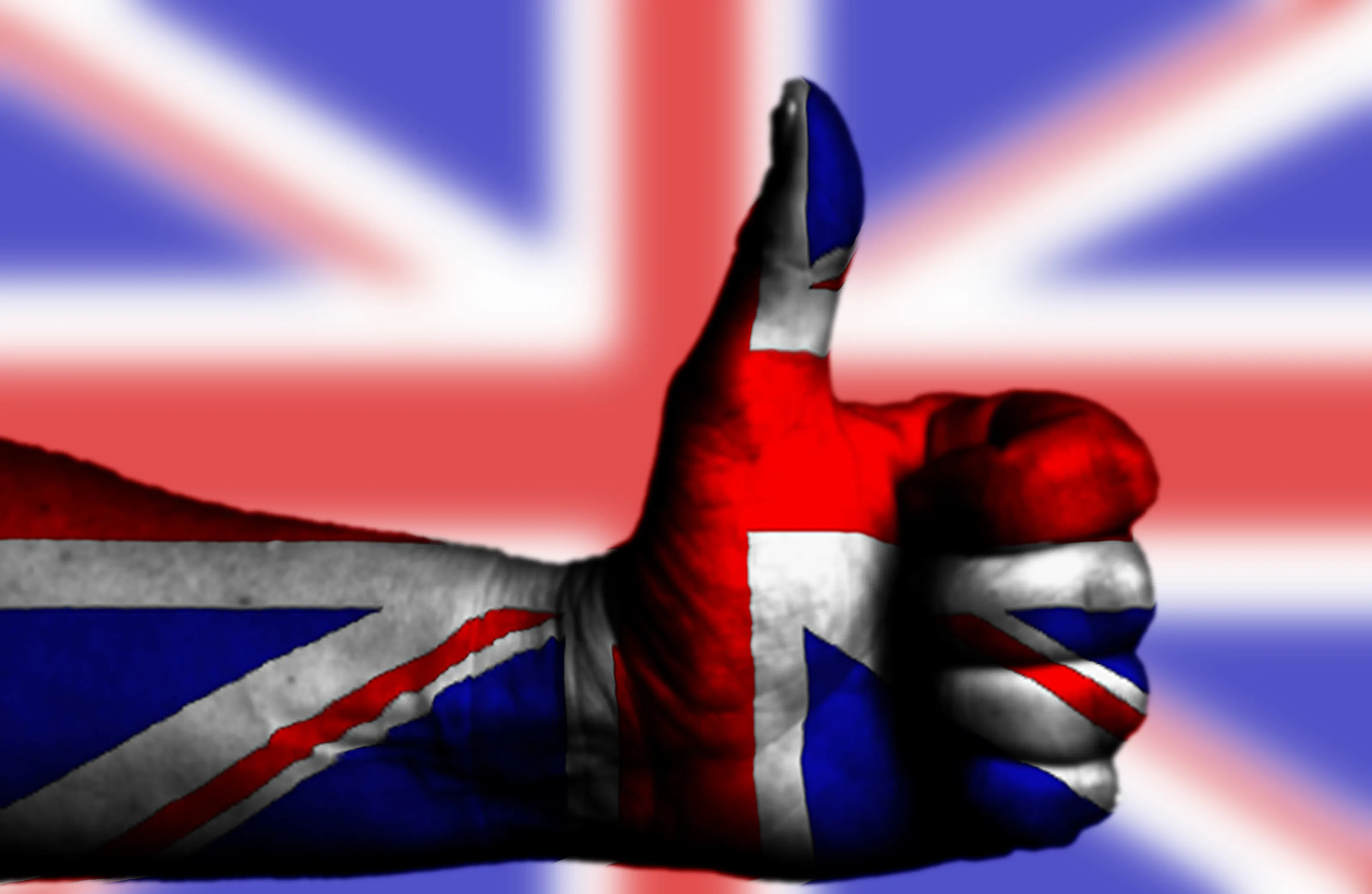Banner image