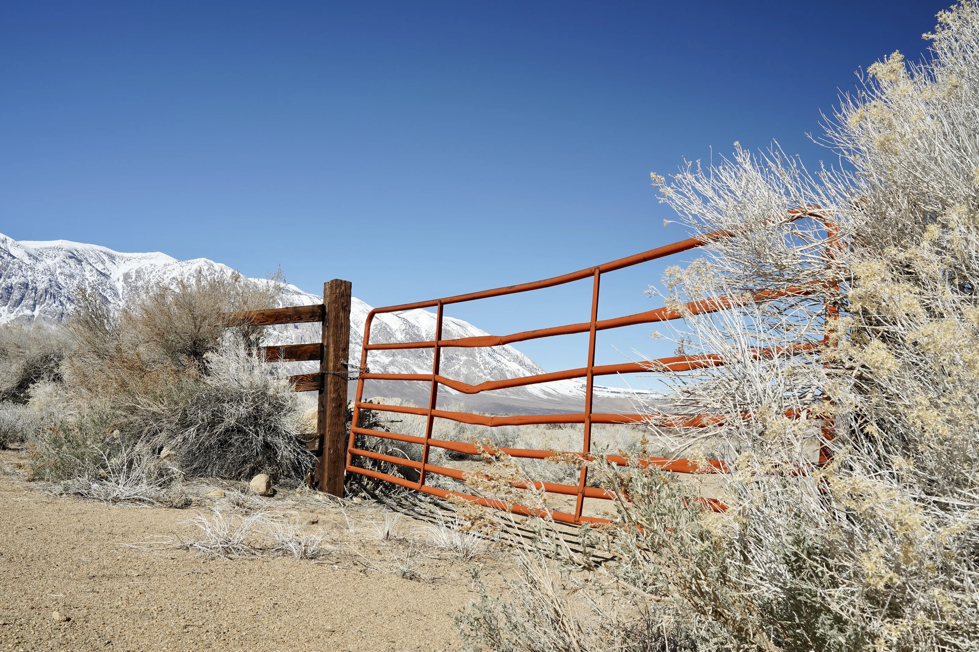 Cattle Gate