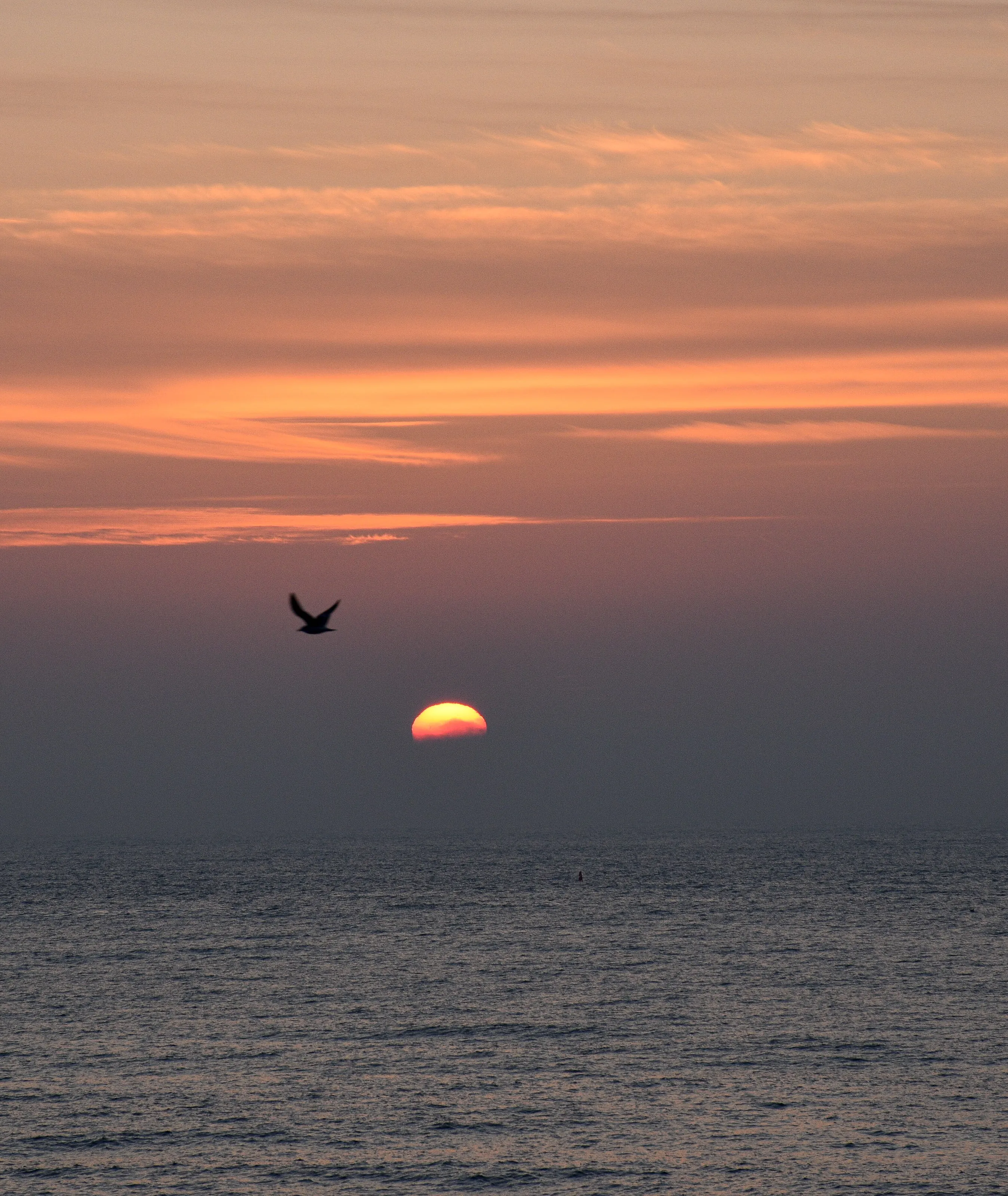 Valentines misty sunrise