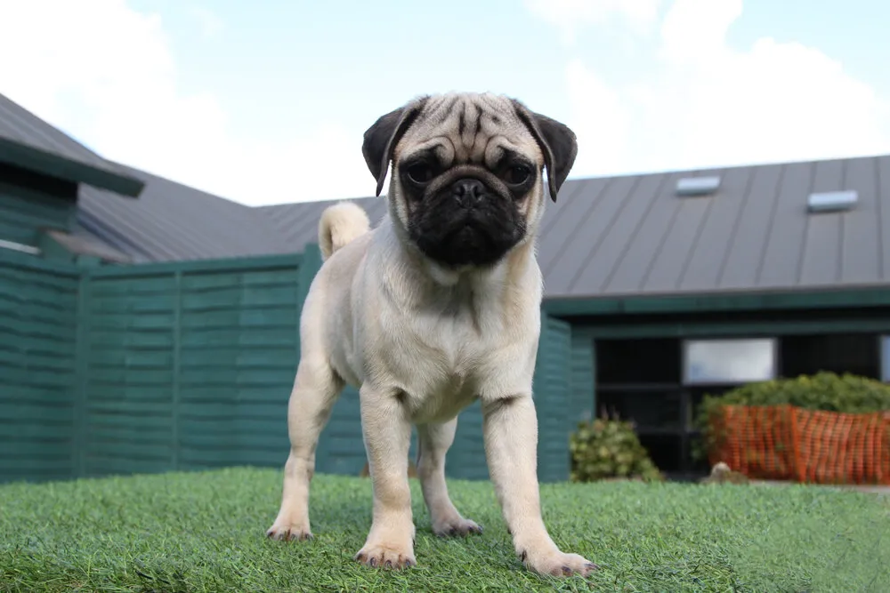 Entry 15598449