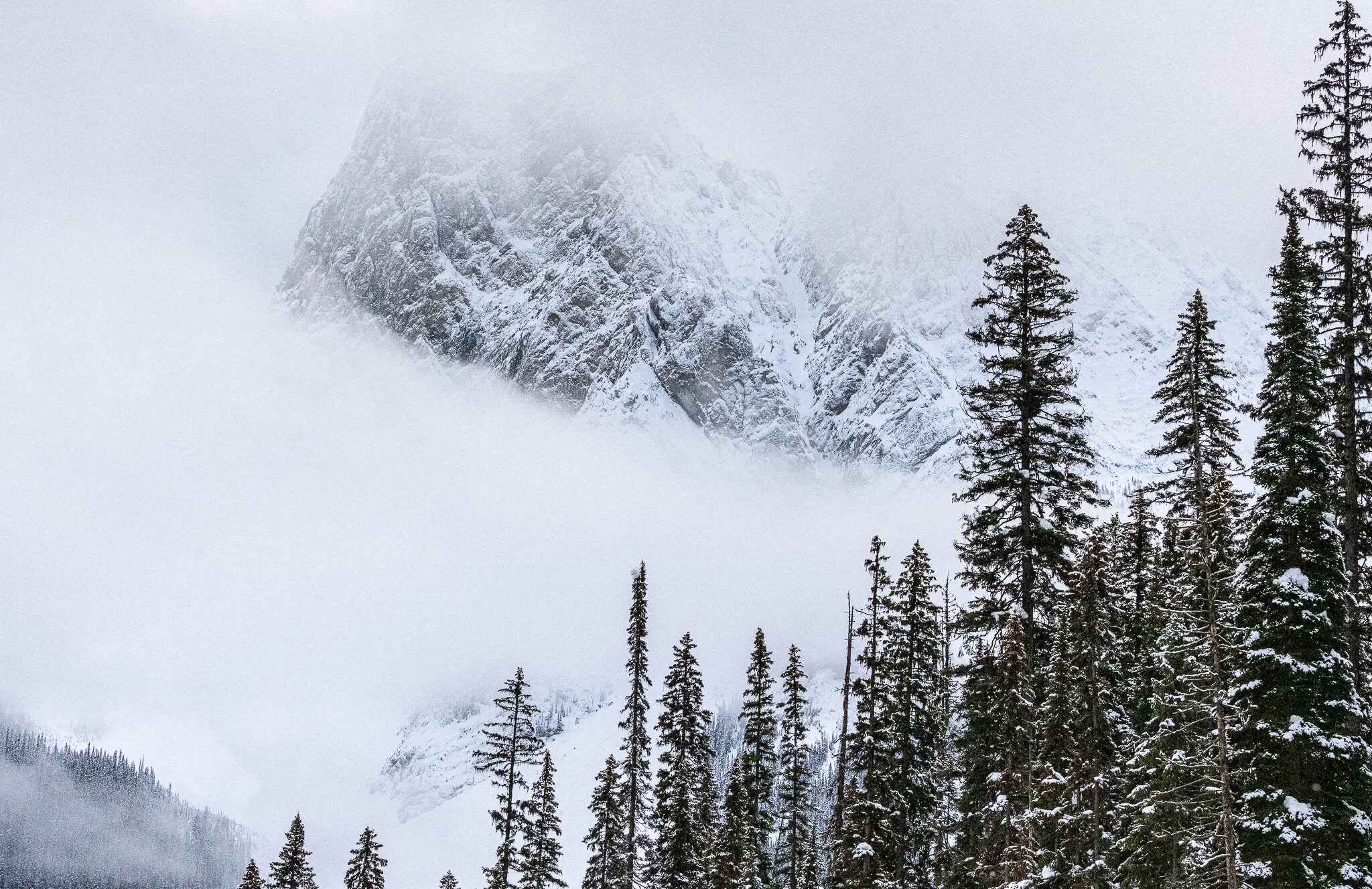 Peaking Through the Clouds