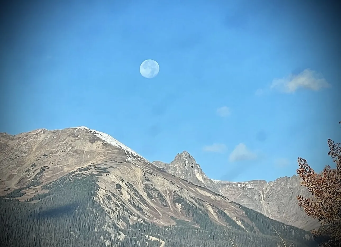 LunaLove