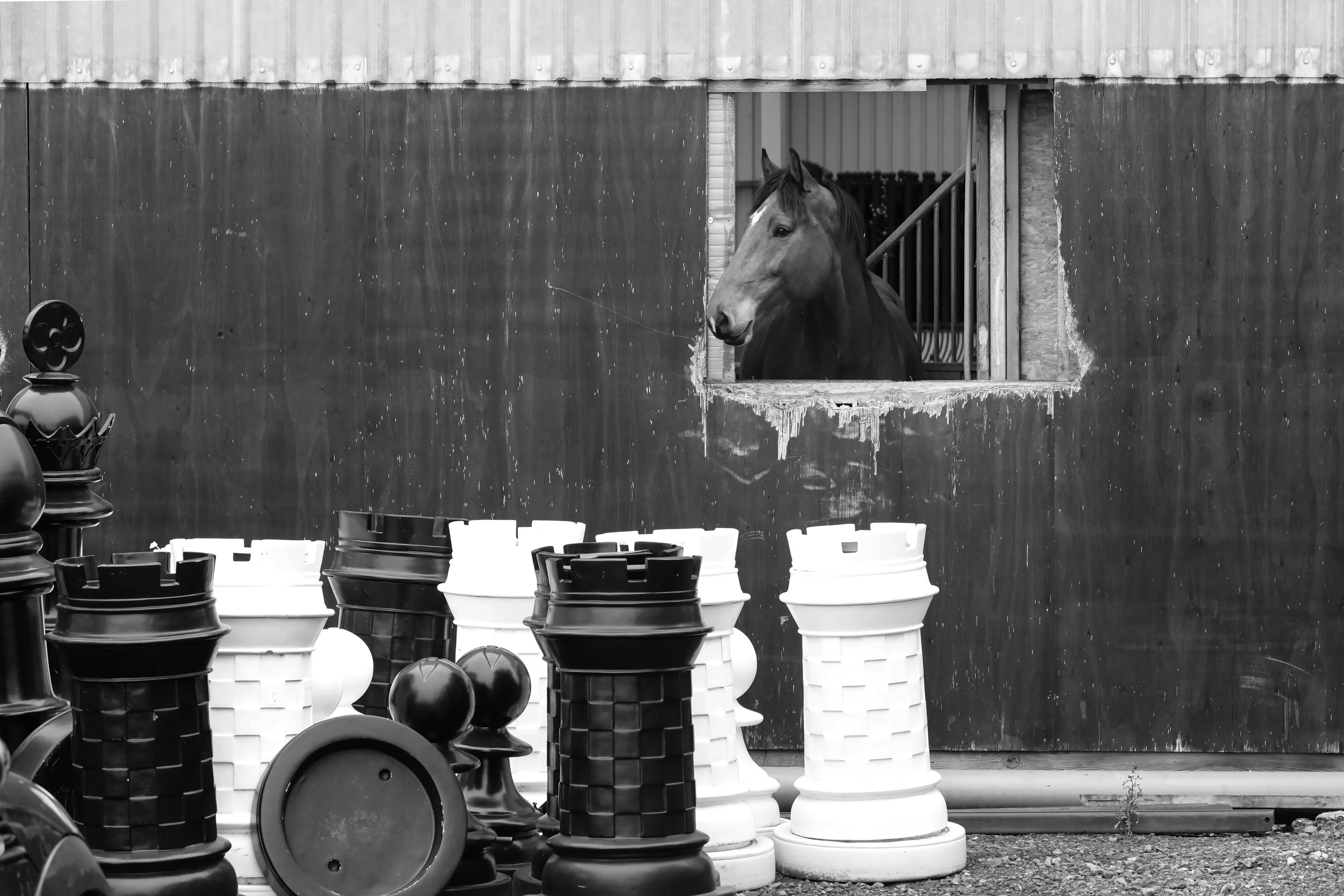 Chess
