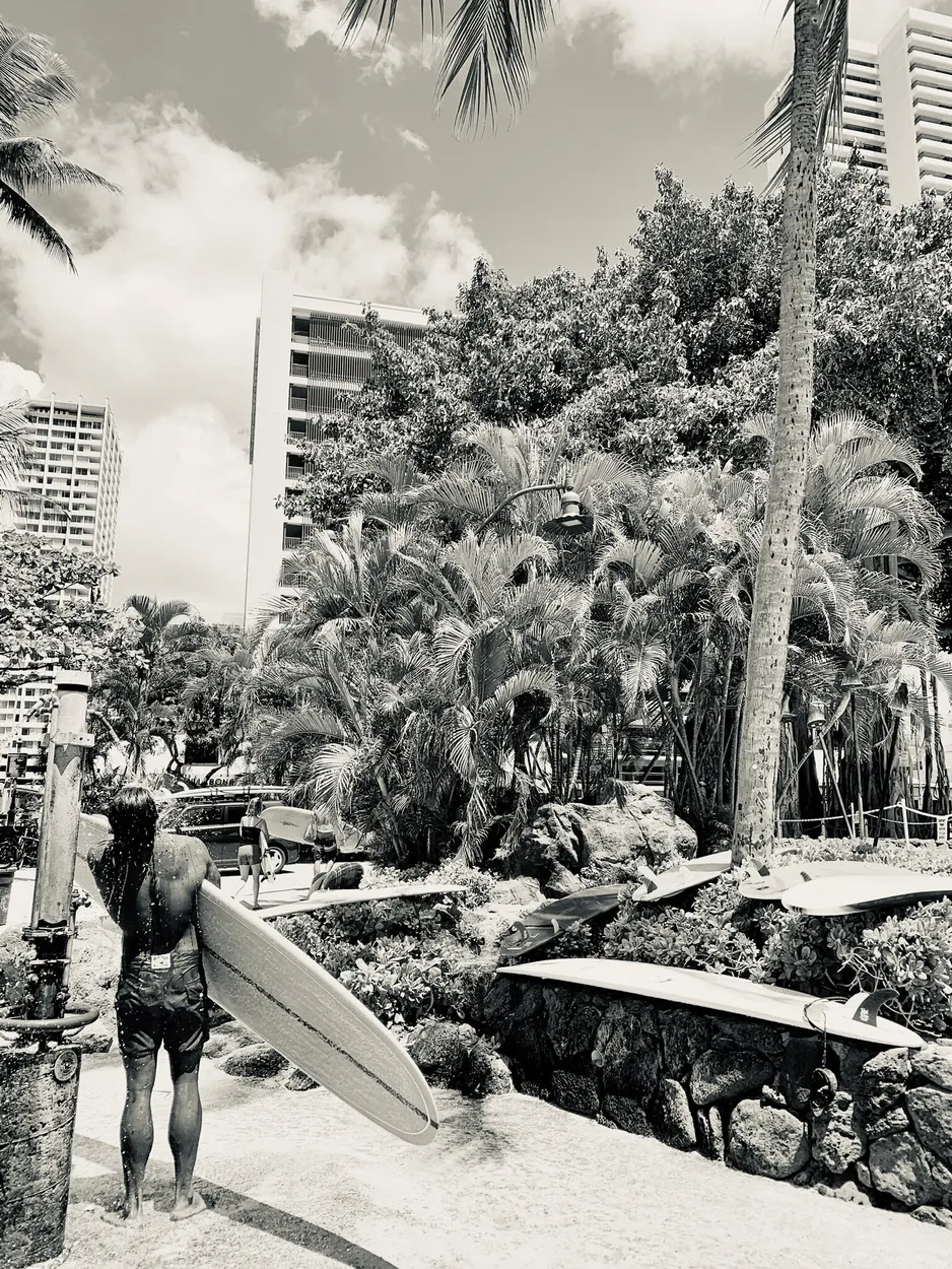 Entry 15618907