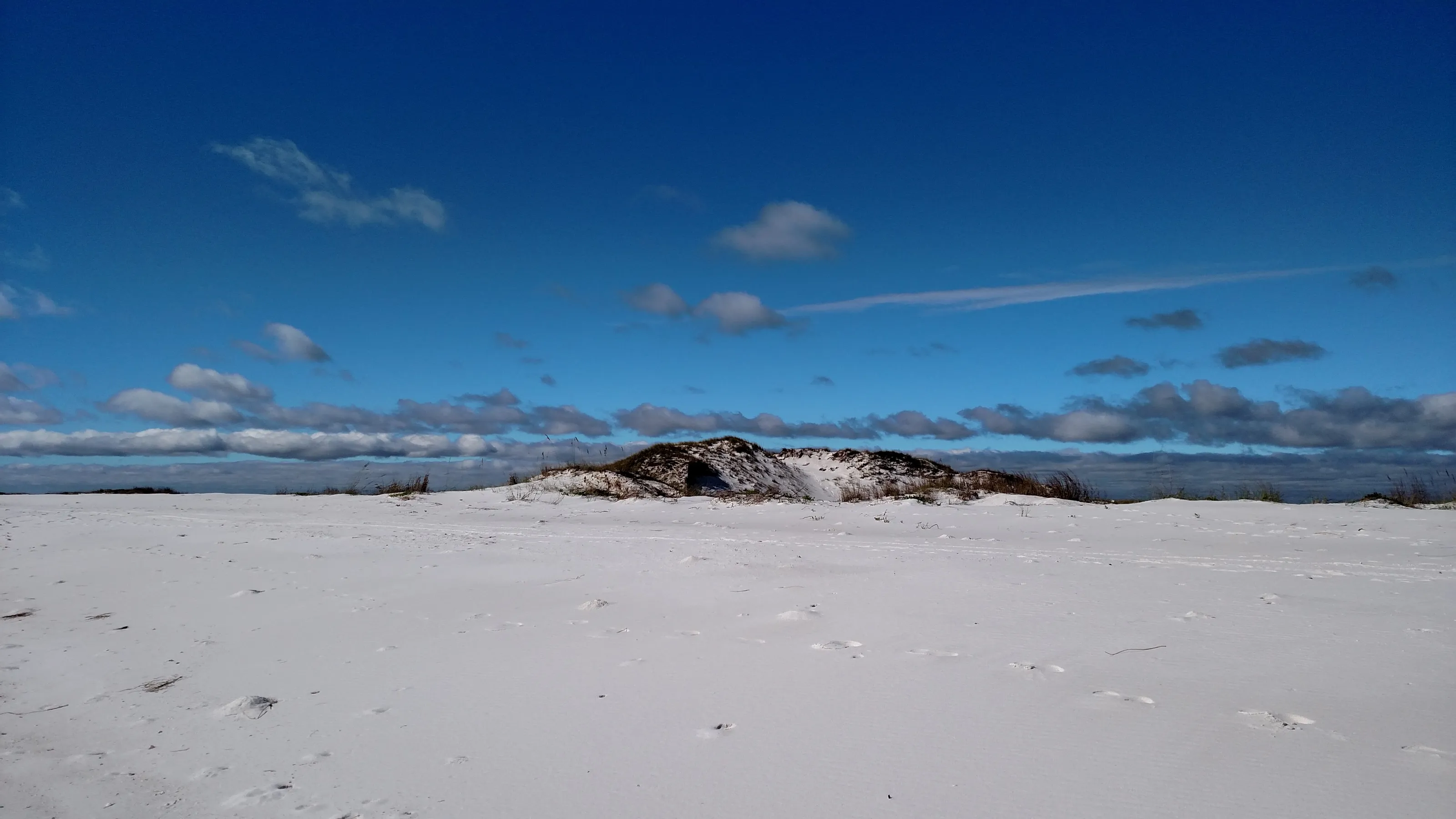 Panhandle Dune
