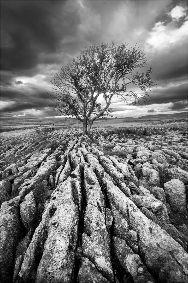 A lonely existence