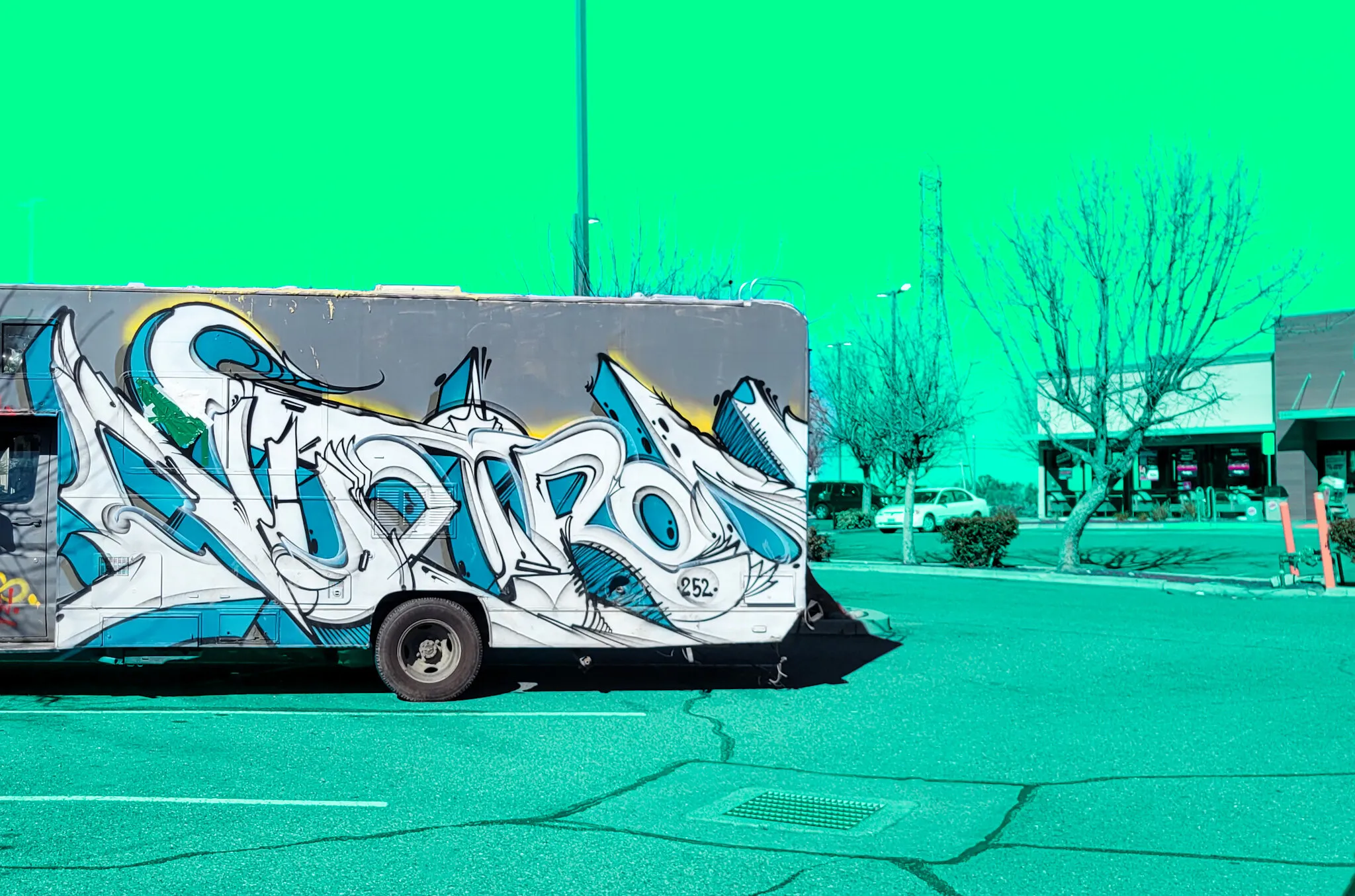 Custom RV