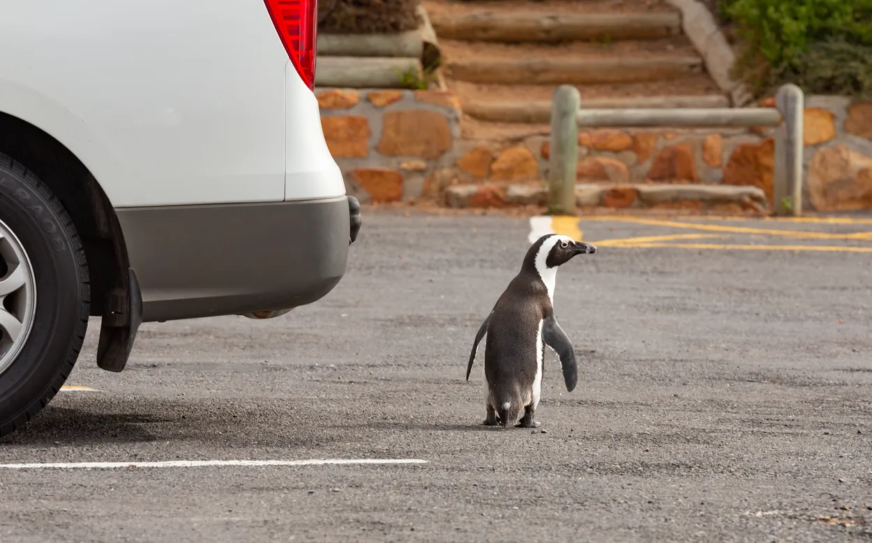 Entry 24519284
