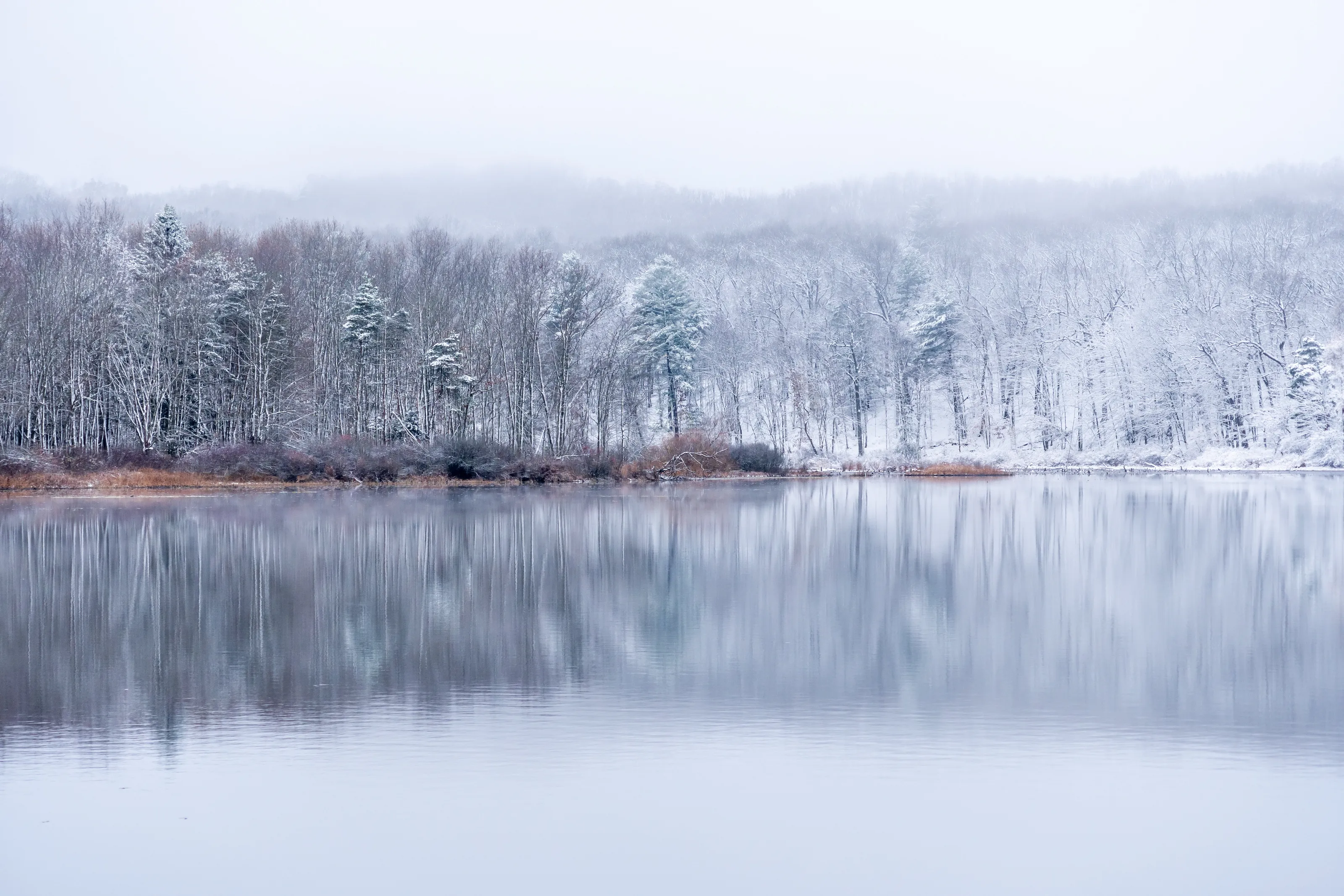 First Snow