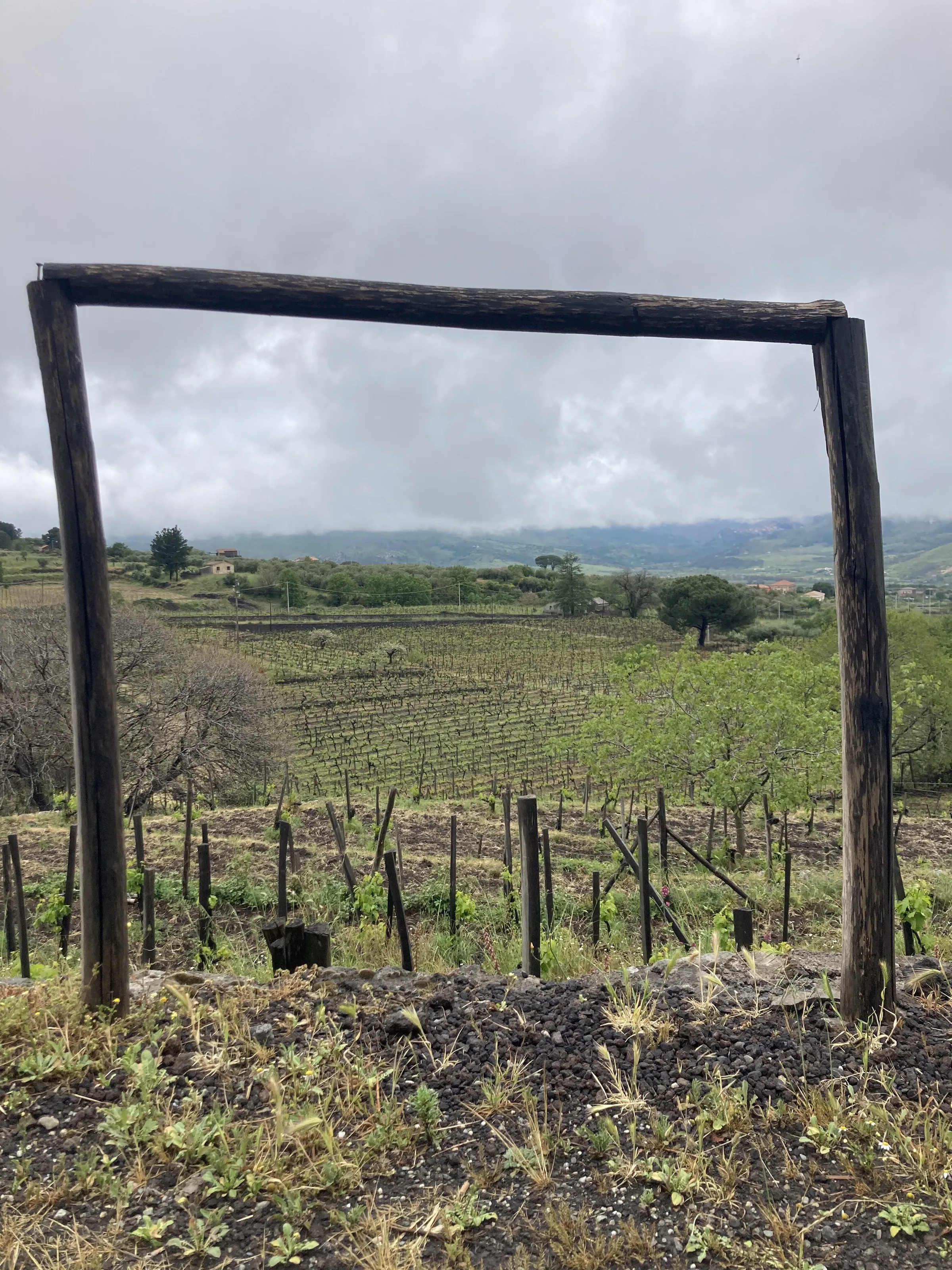 Window on the wineworld