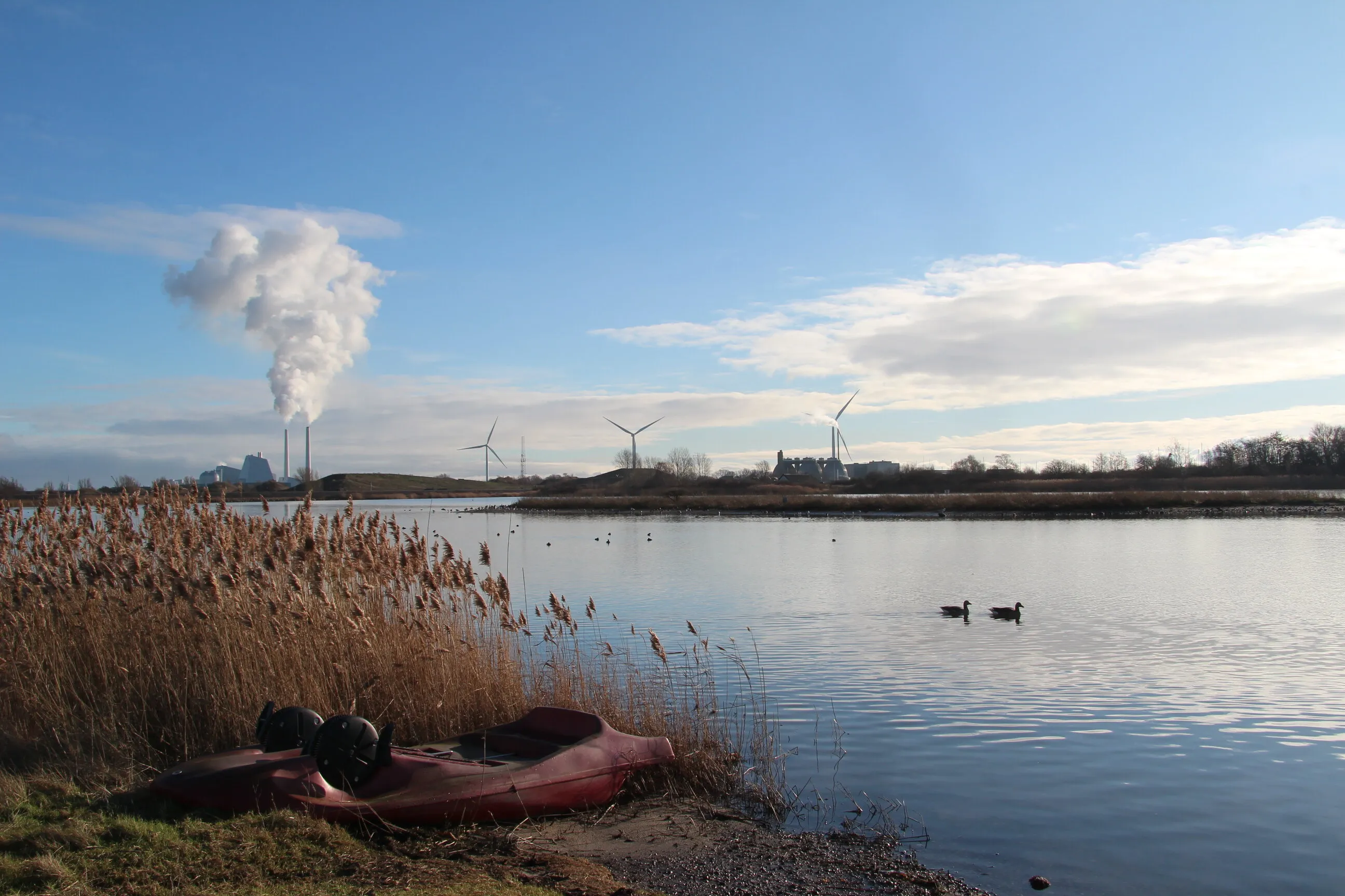 A cold winterday in Denmark