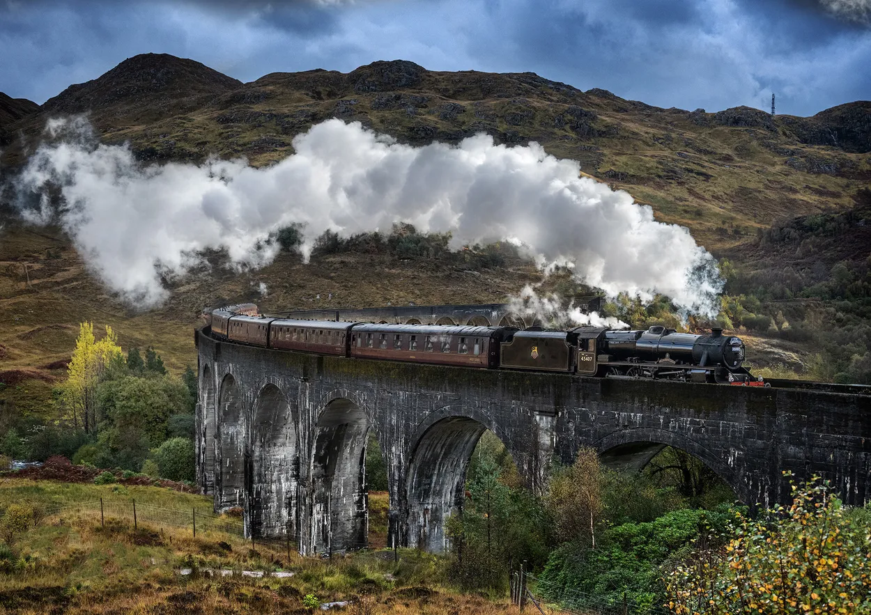 Entry 15881673
