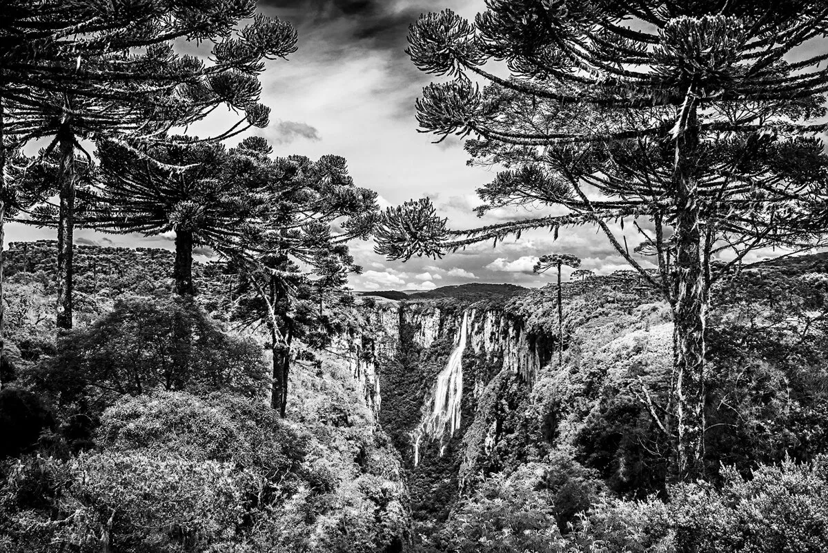 Itaimbezinho canyon