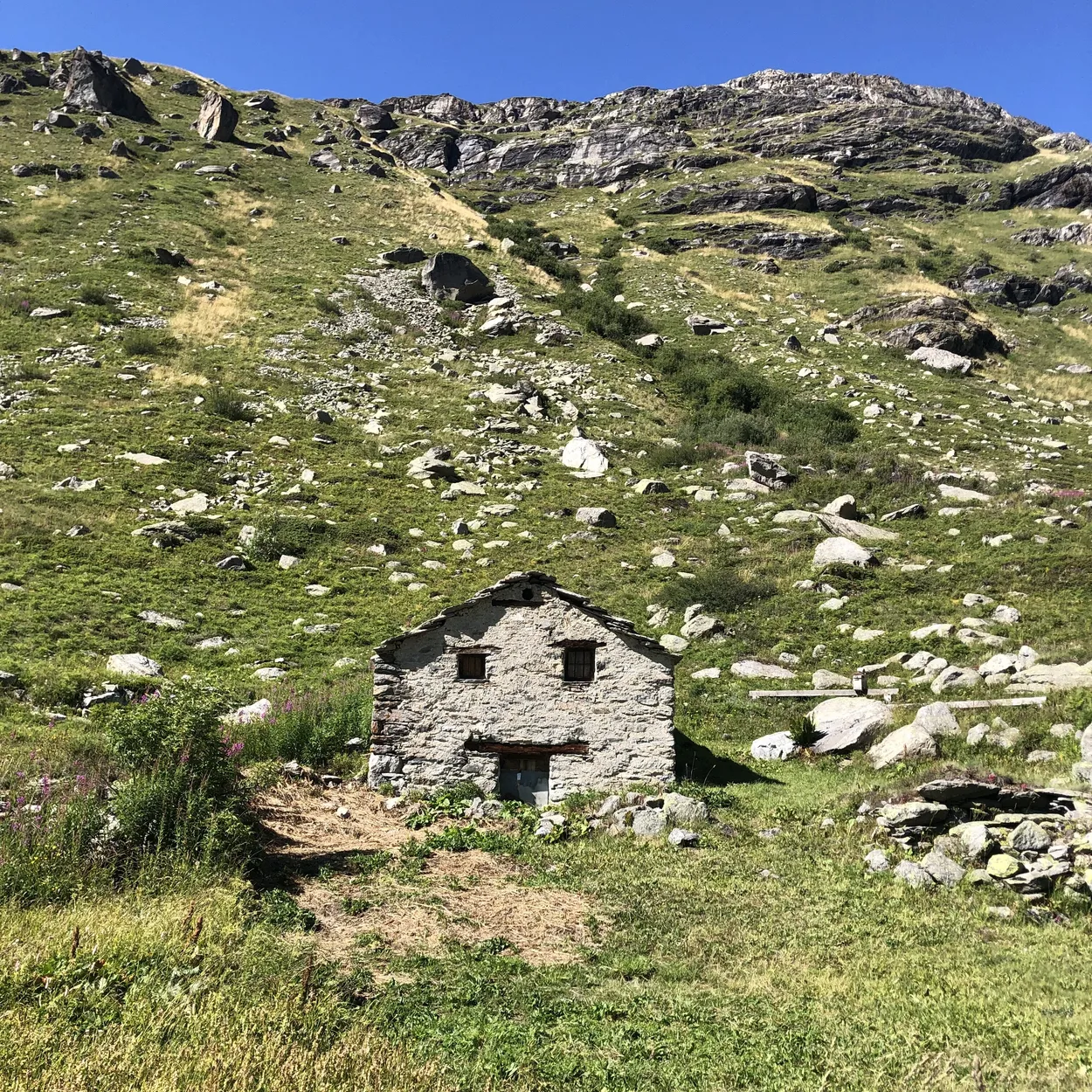Entry 15708863