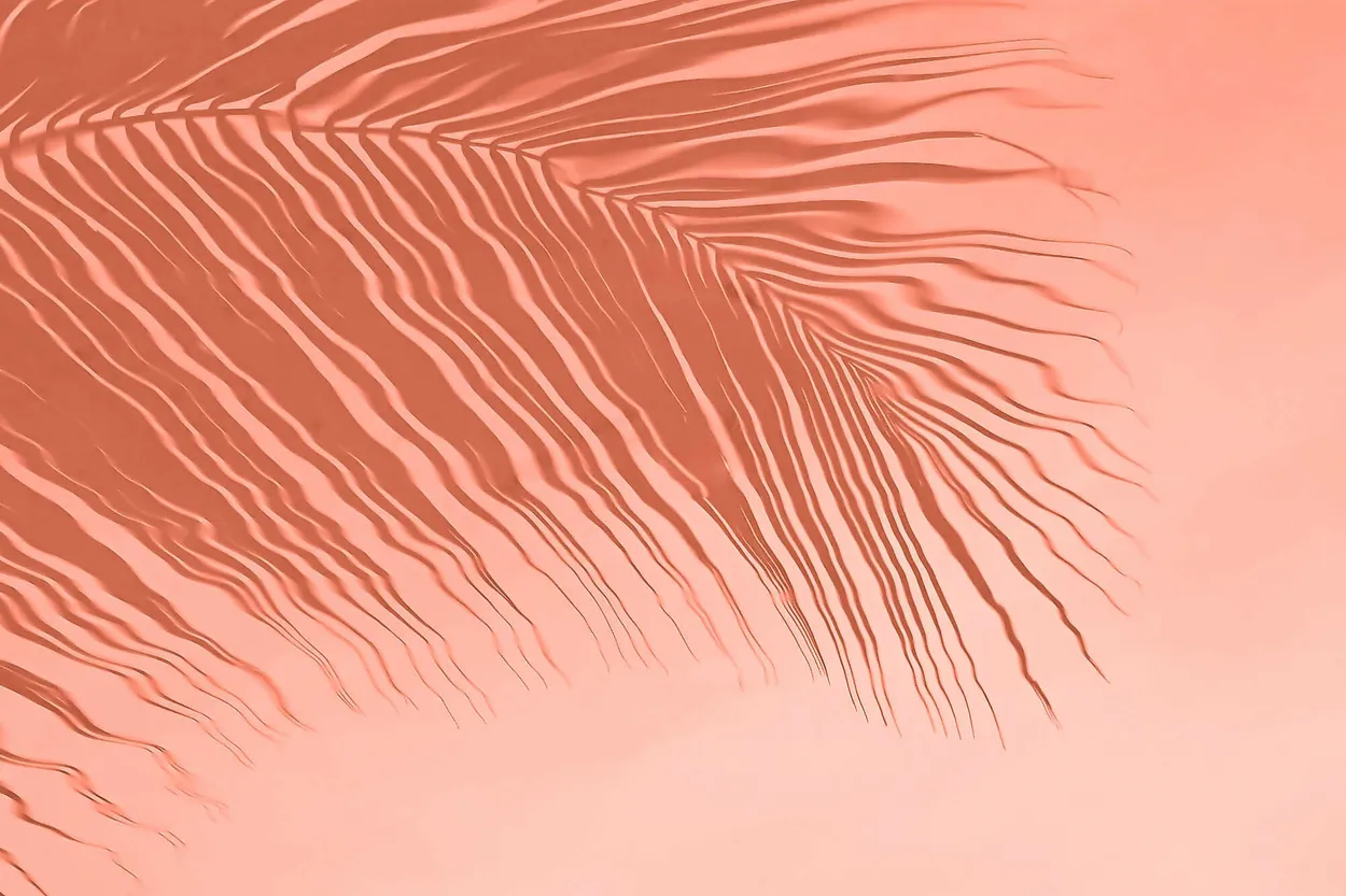 Entry 19570231