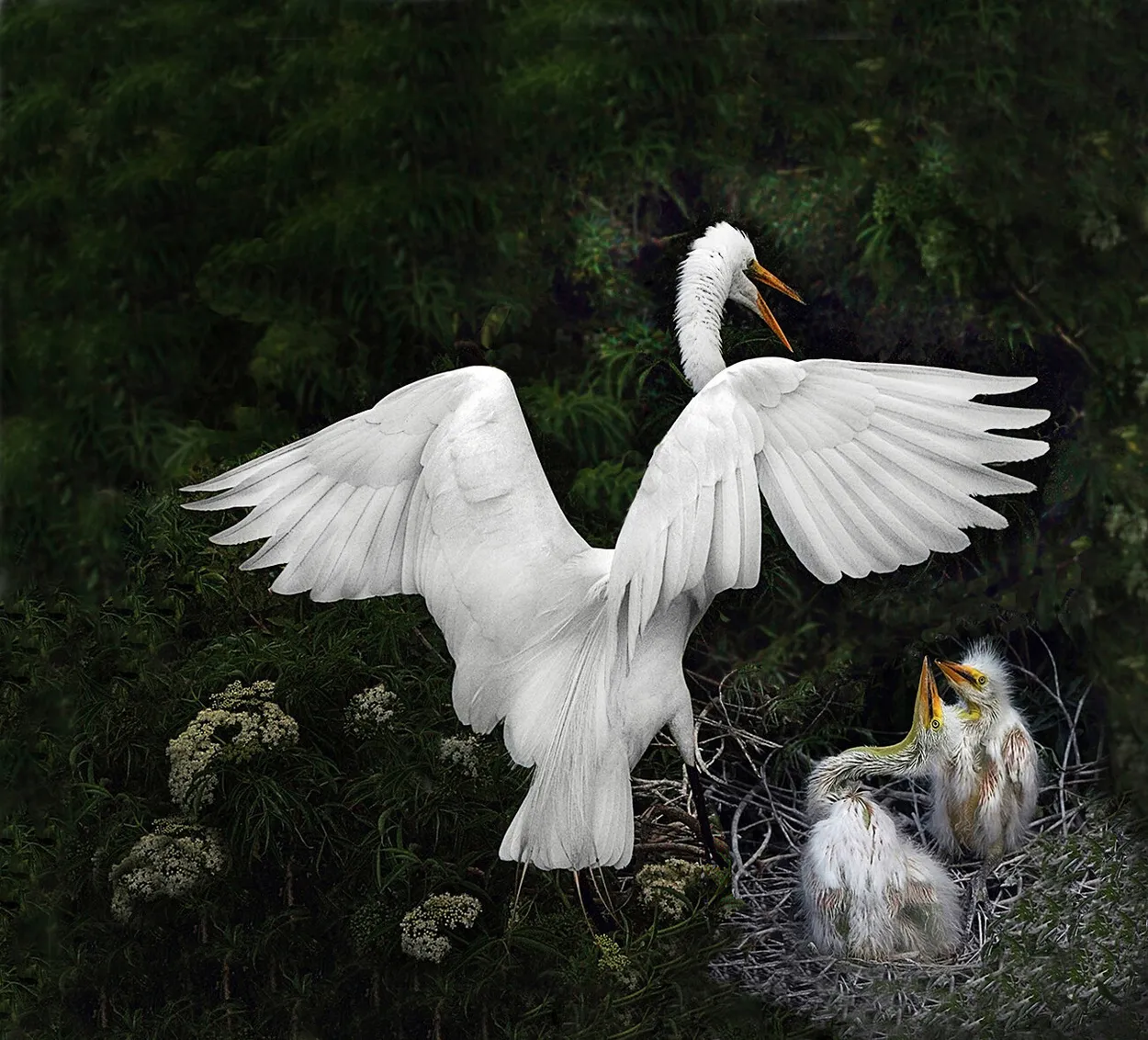 Entry 829914