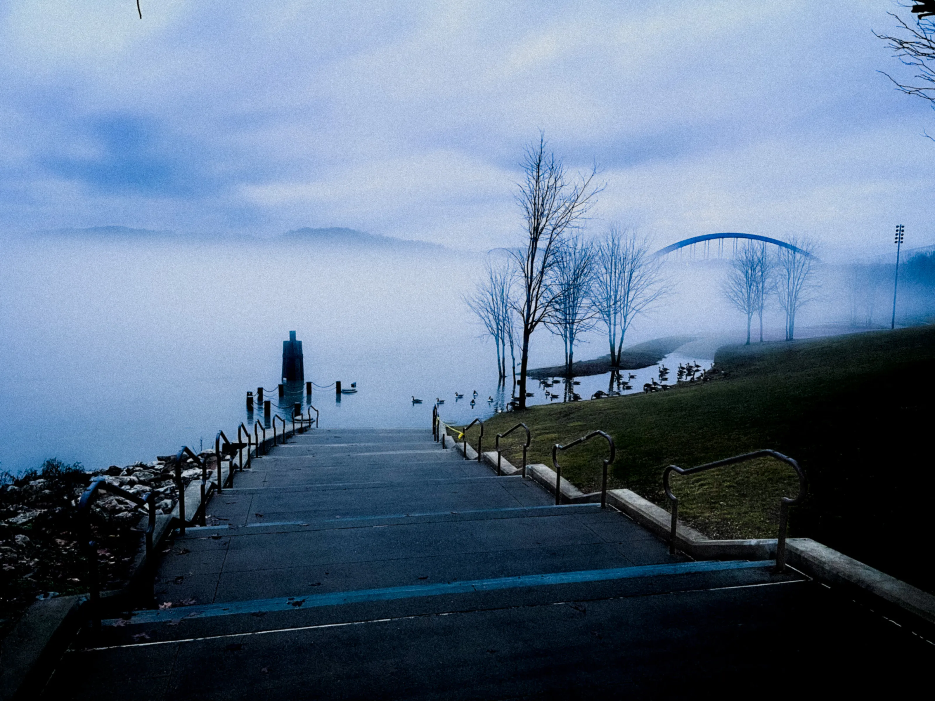 Foggy River
