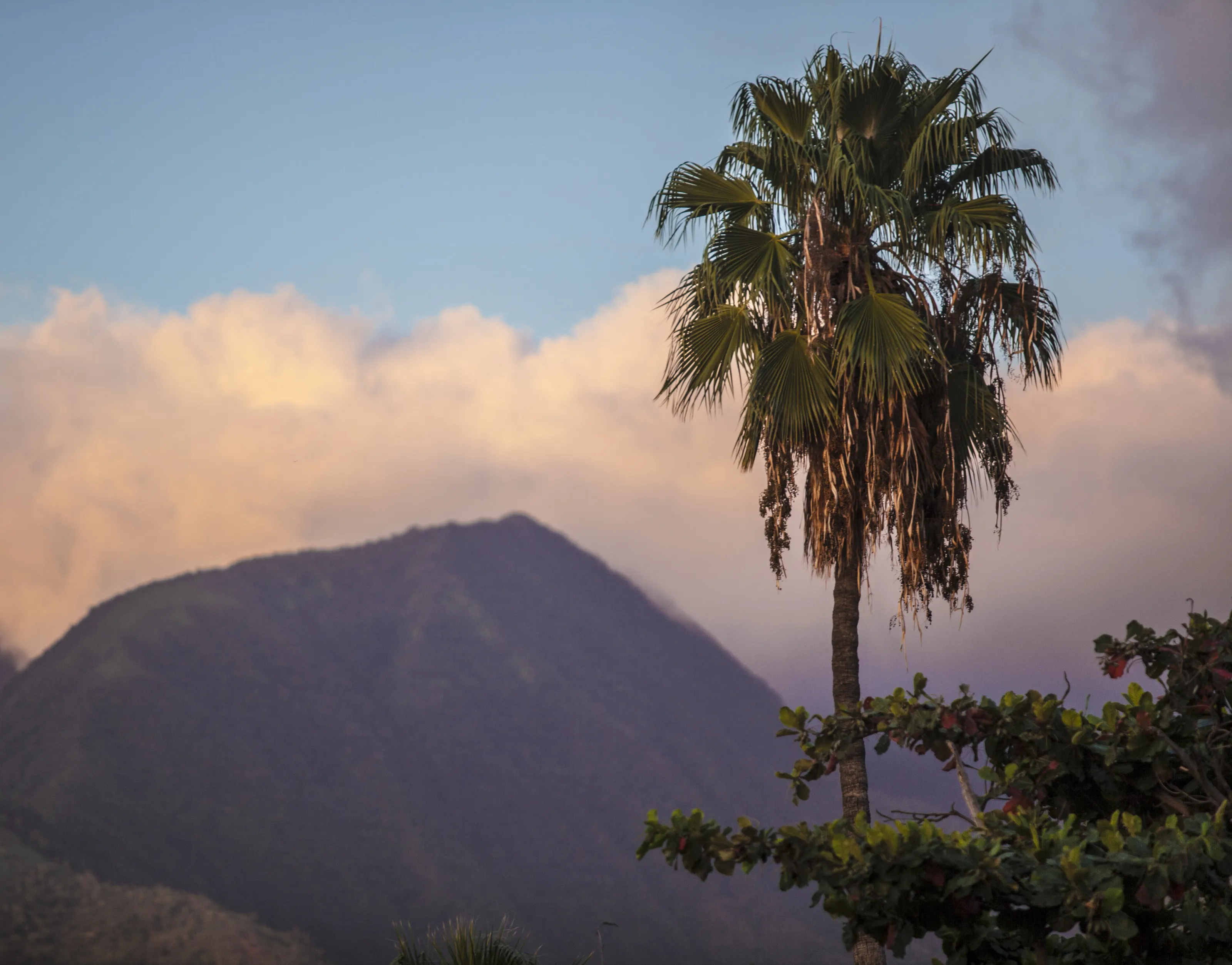 MAUI MAJESTY