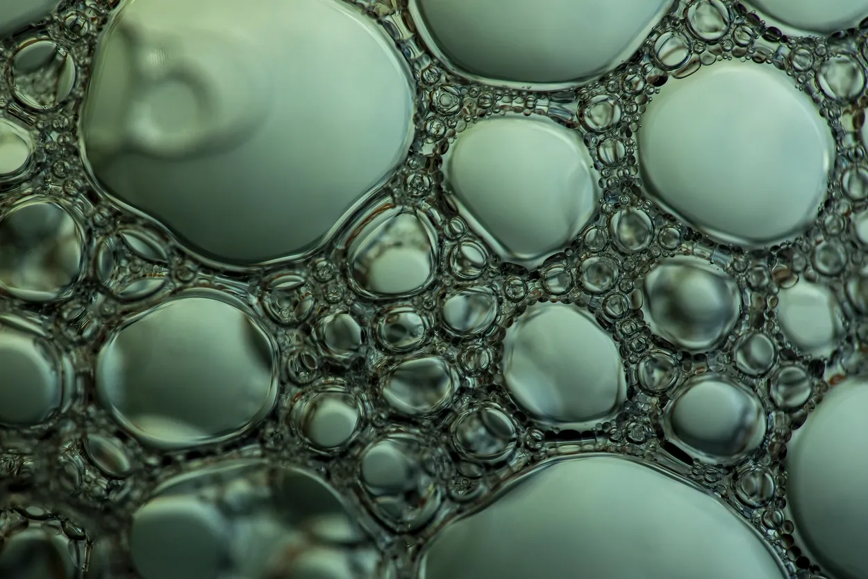 Entry 22427983