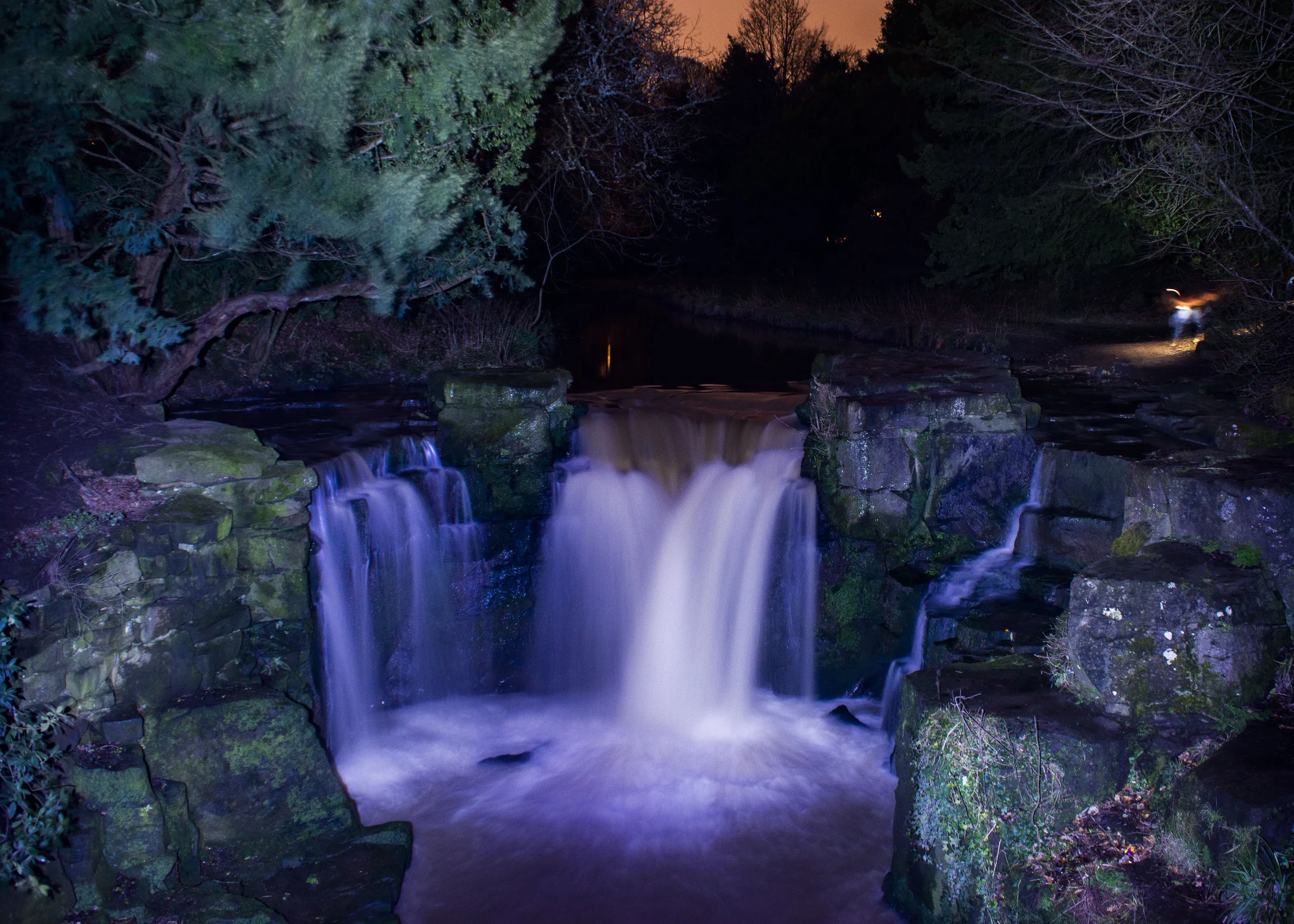 Jesmond Dene Night