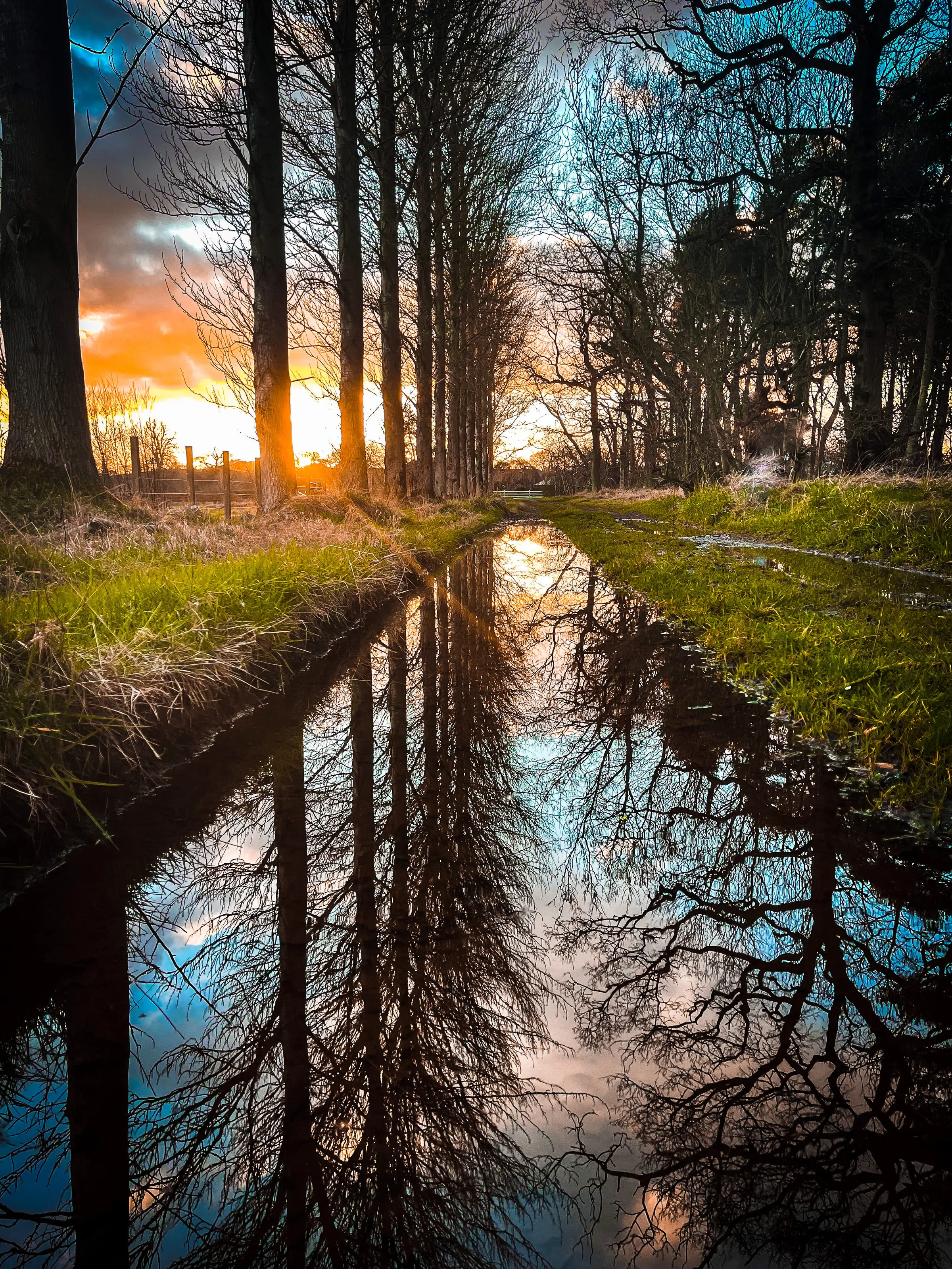 Reflection at the golden hour