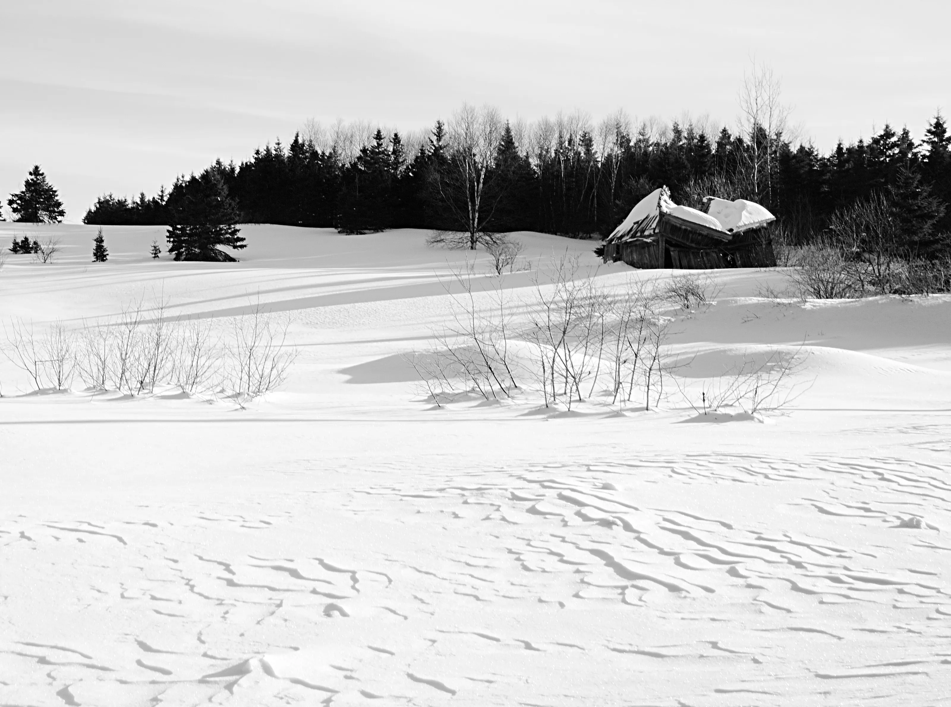 Heavy Snow