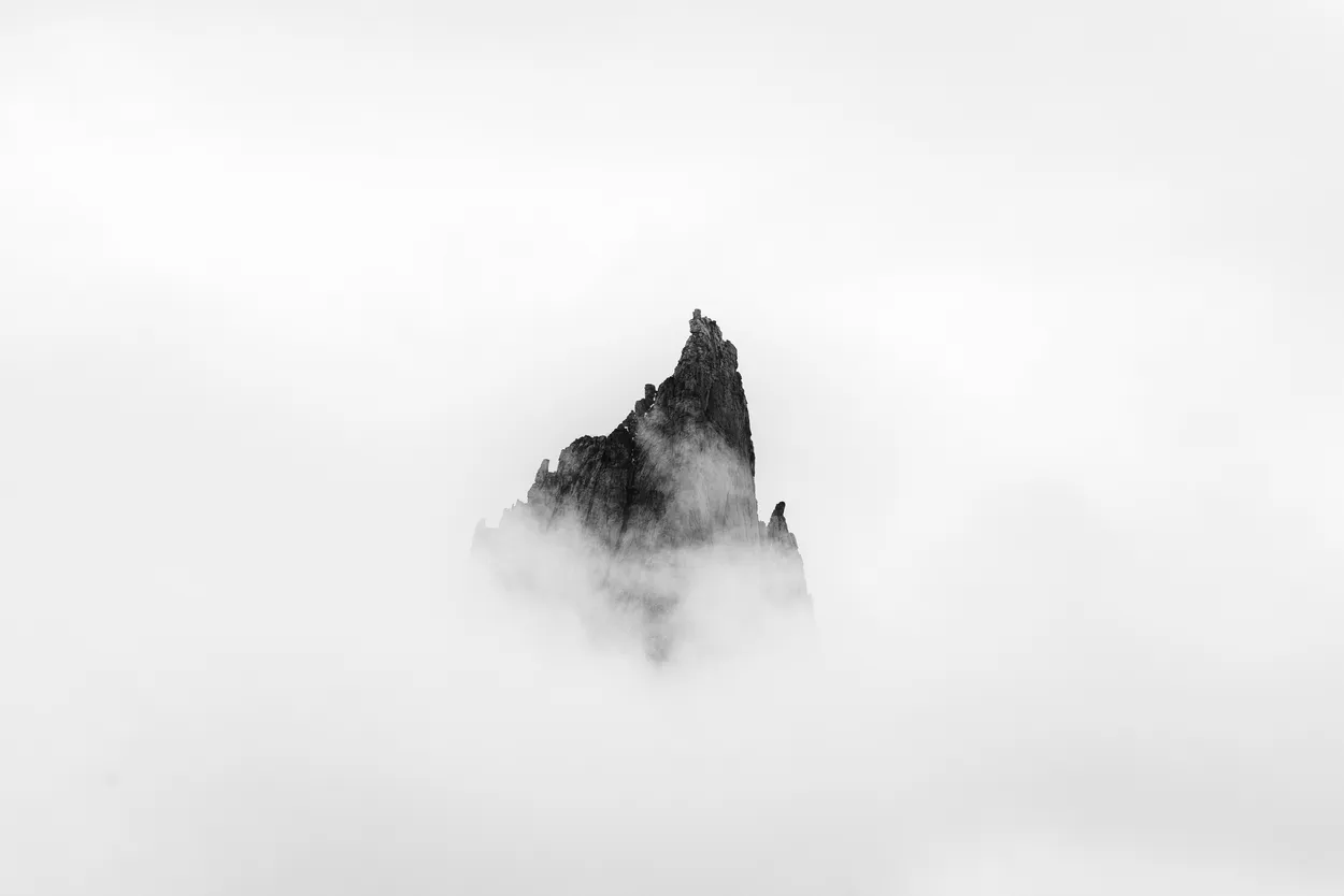 Entry 19314387