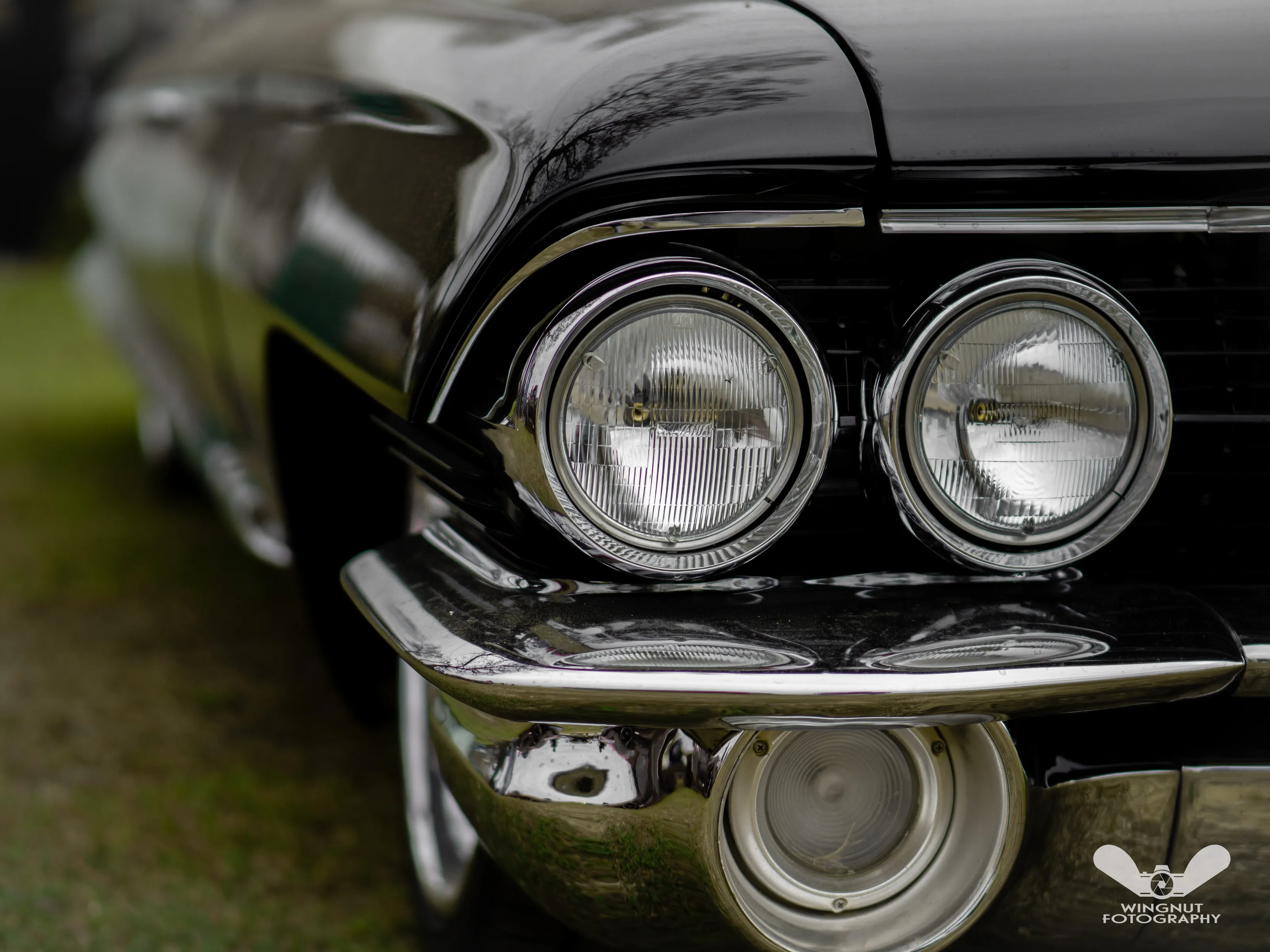 Black Classic