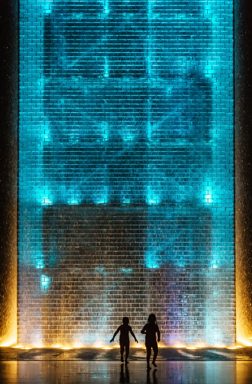 Entry 831147
