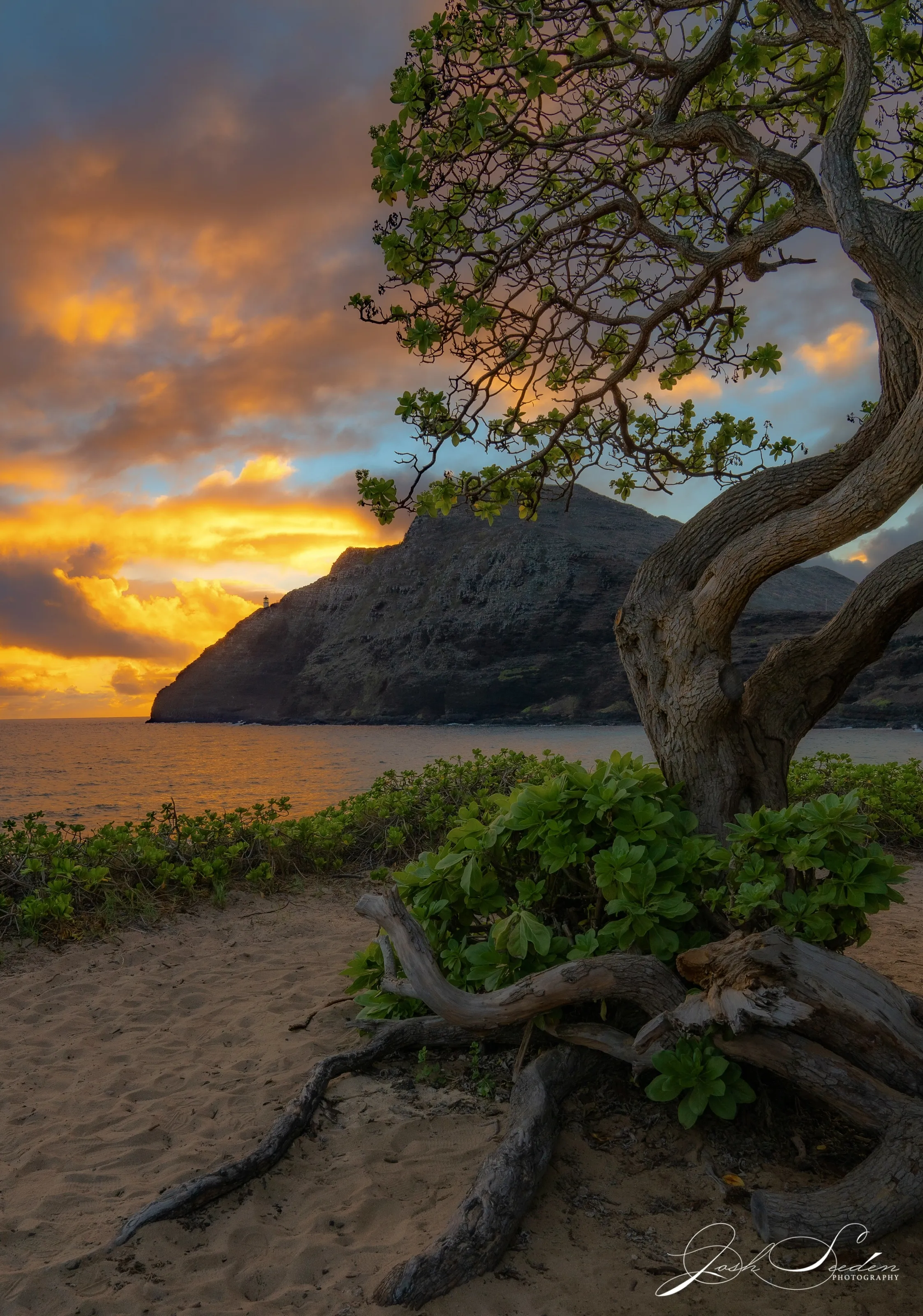 Makapu’u Sunrise