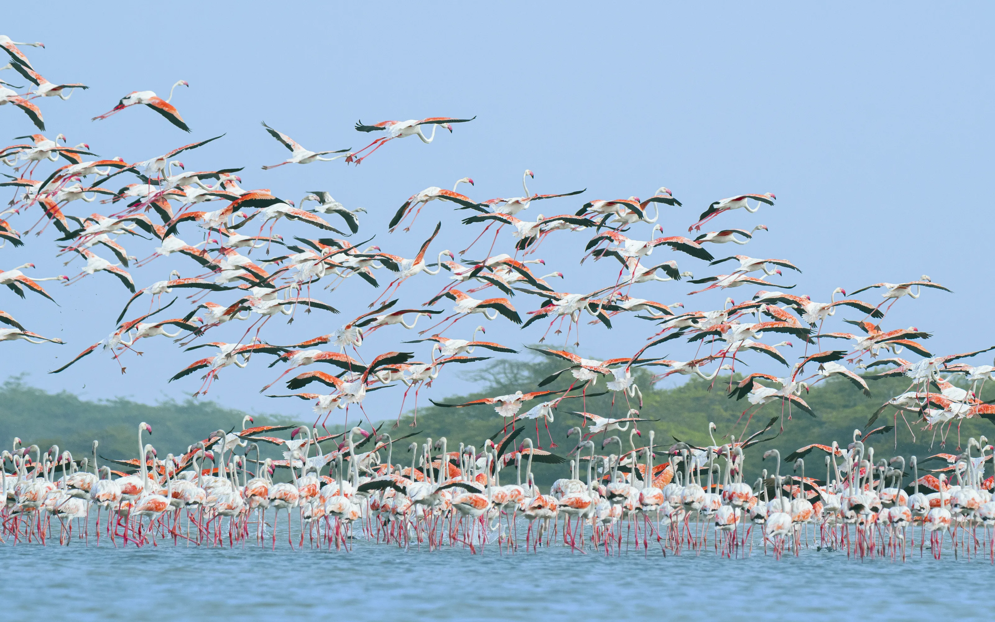 Landing