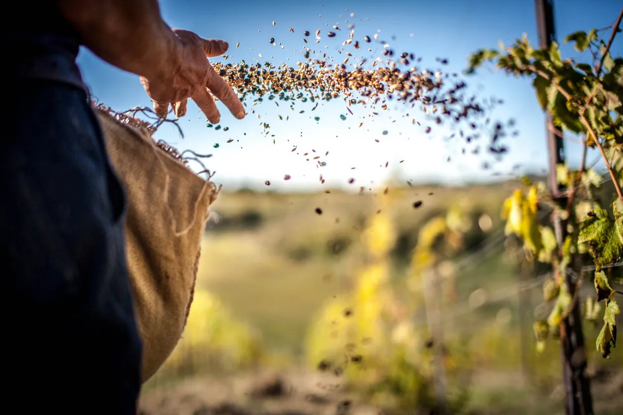 Feeding the Soil