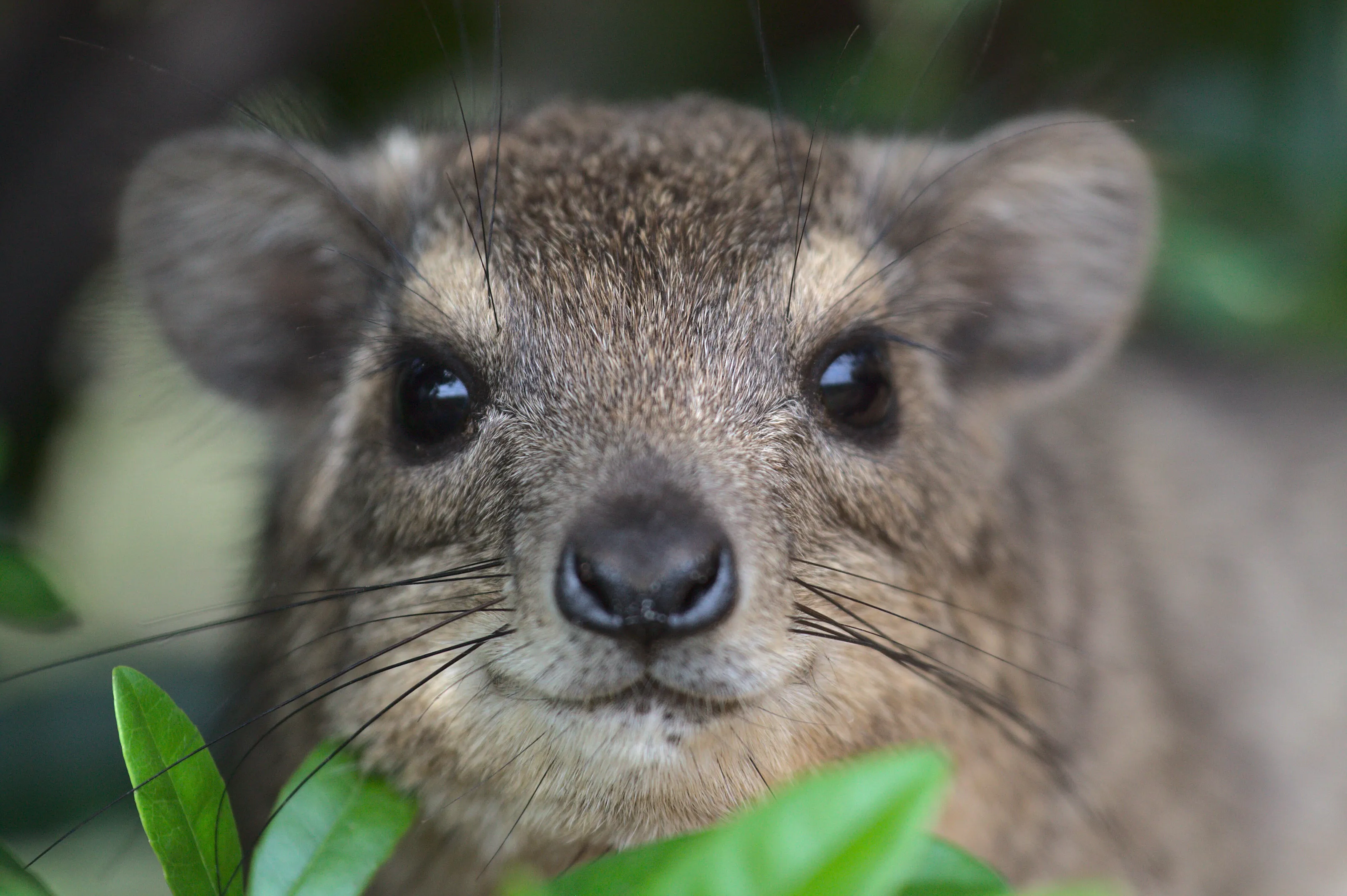 Am I cute, or am I cute
