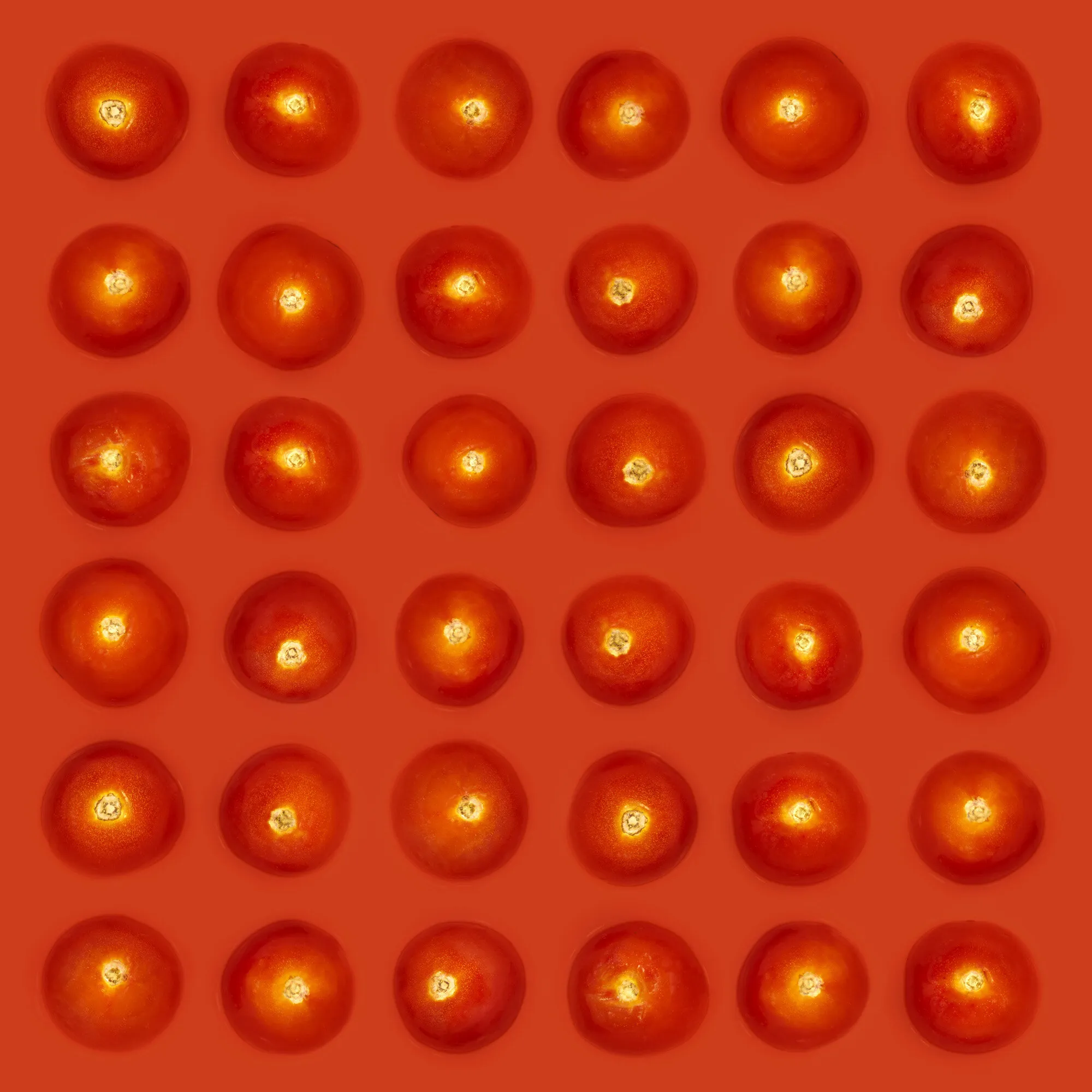 Red Tomato Background