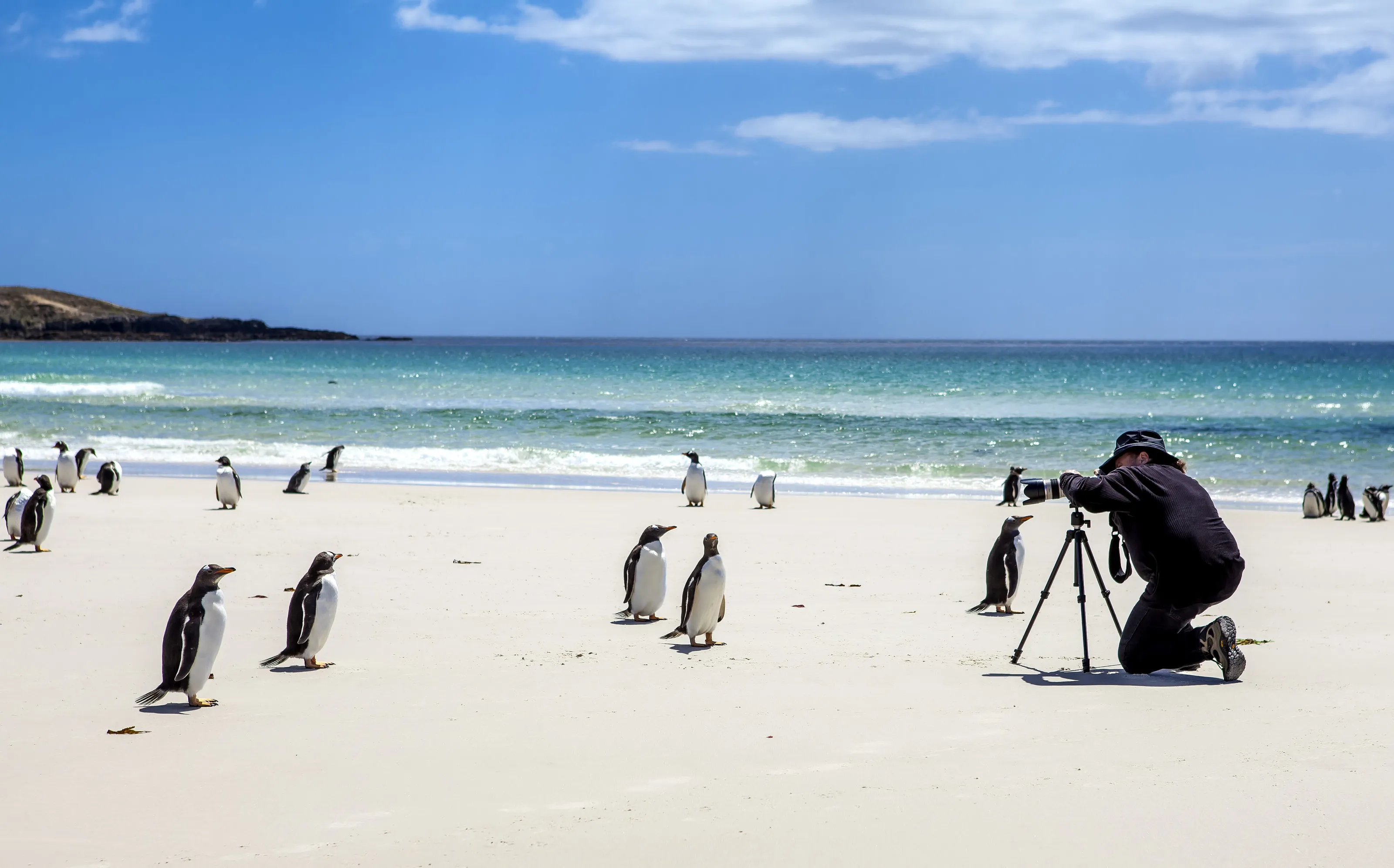 Marc-Andre Le Tourneux, photographer