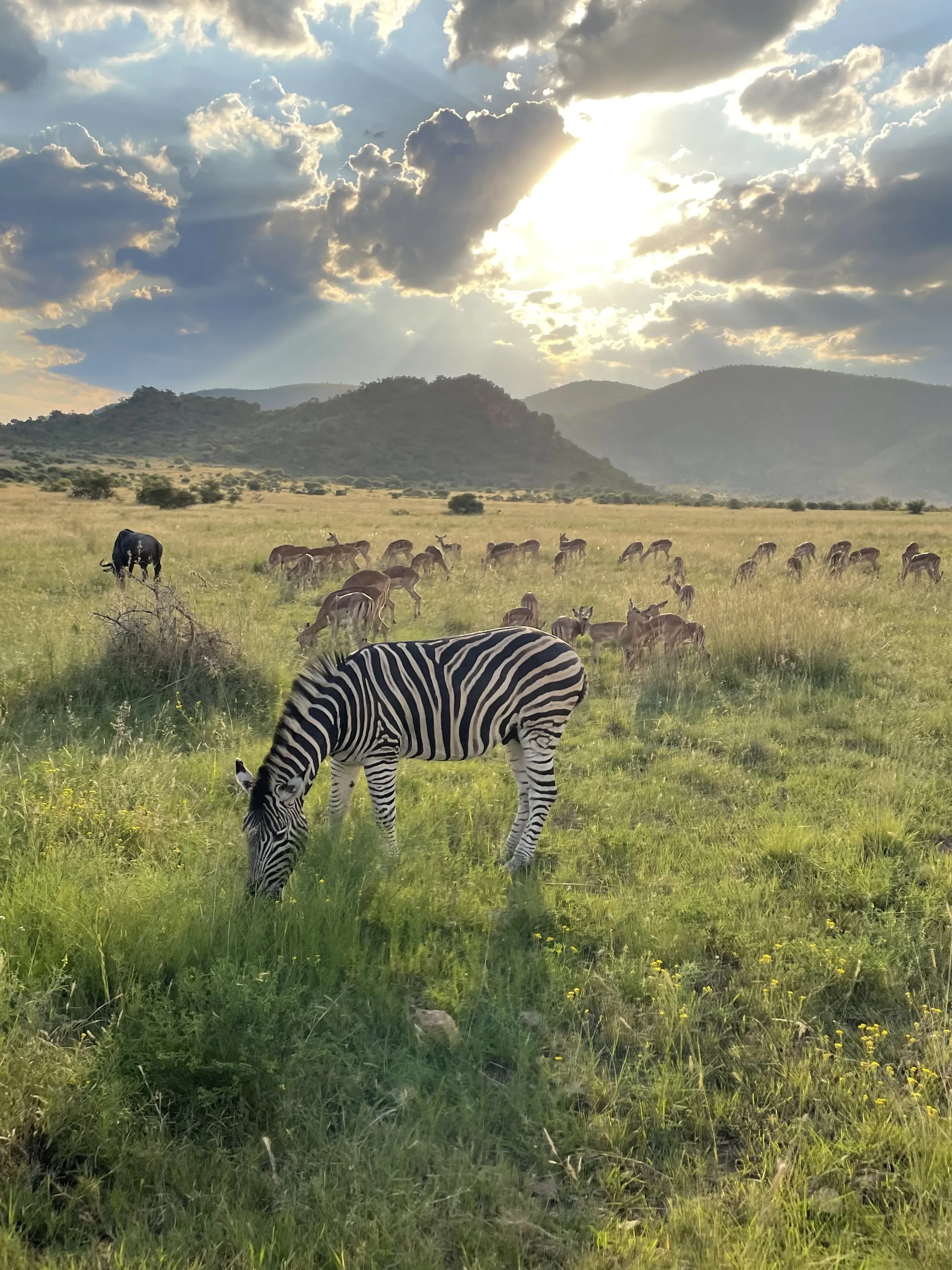 Nature at its Best