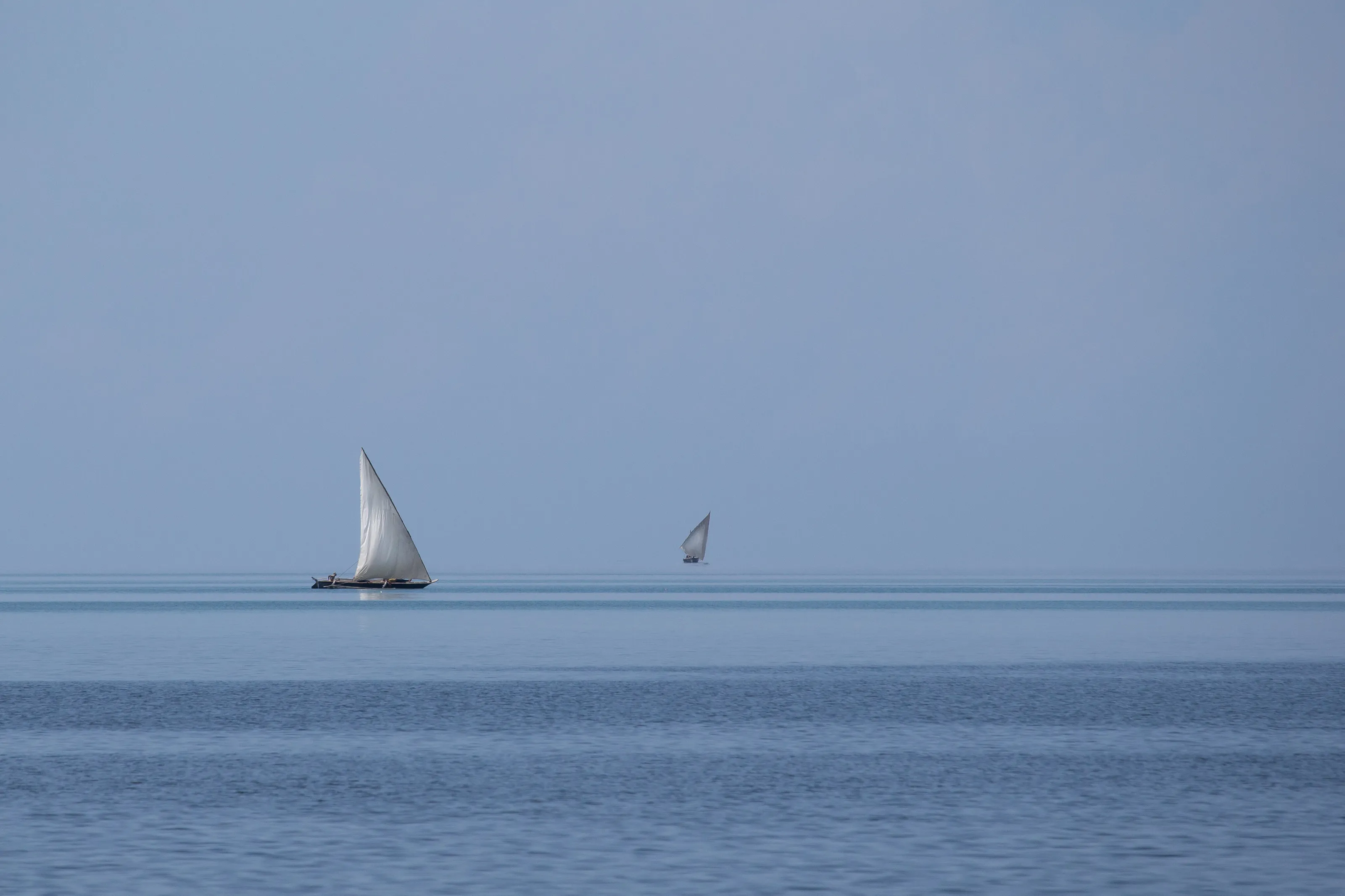 Blue yonder