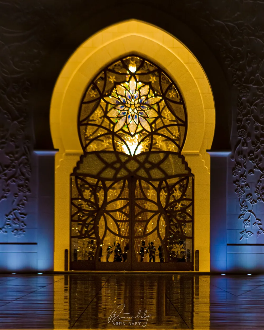 Entry 19209845