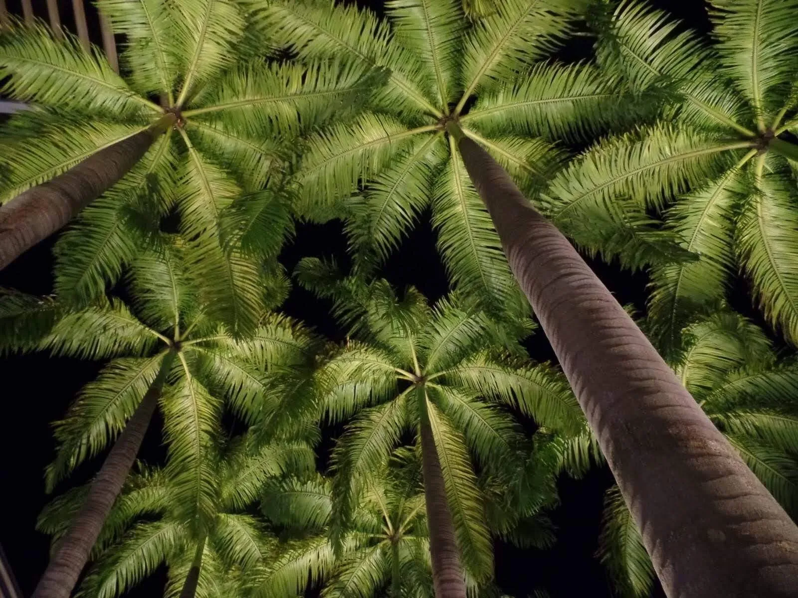 Banner image