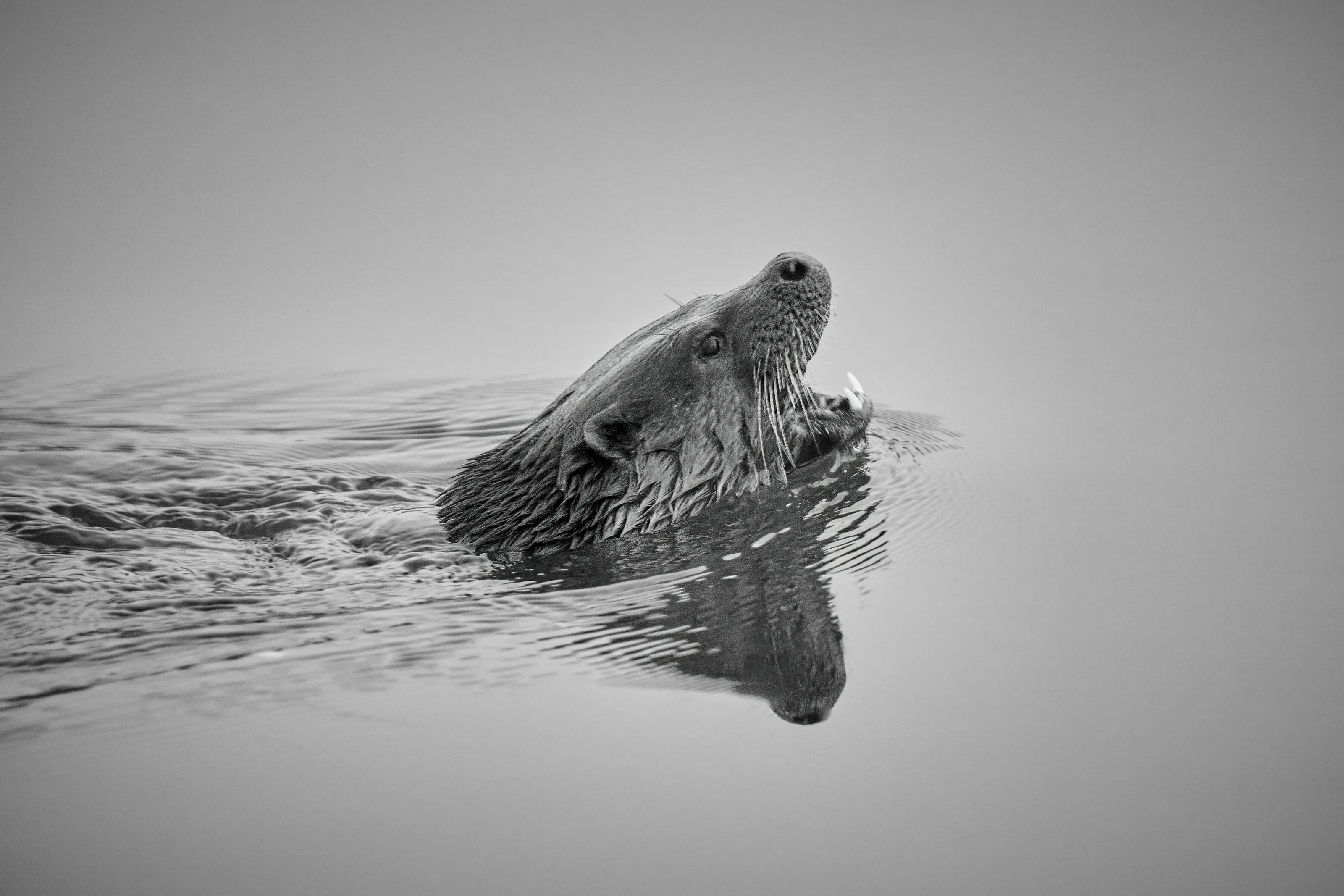 Keeping Head Above Water