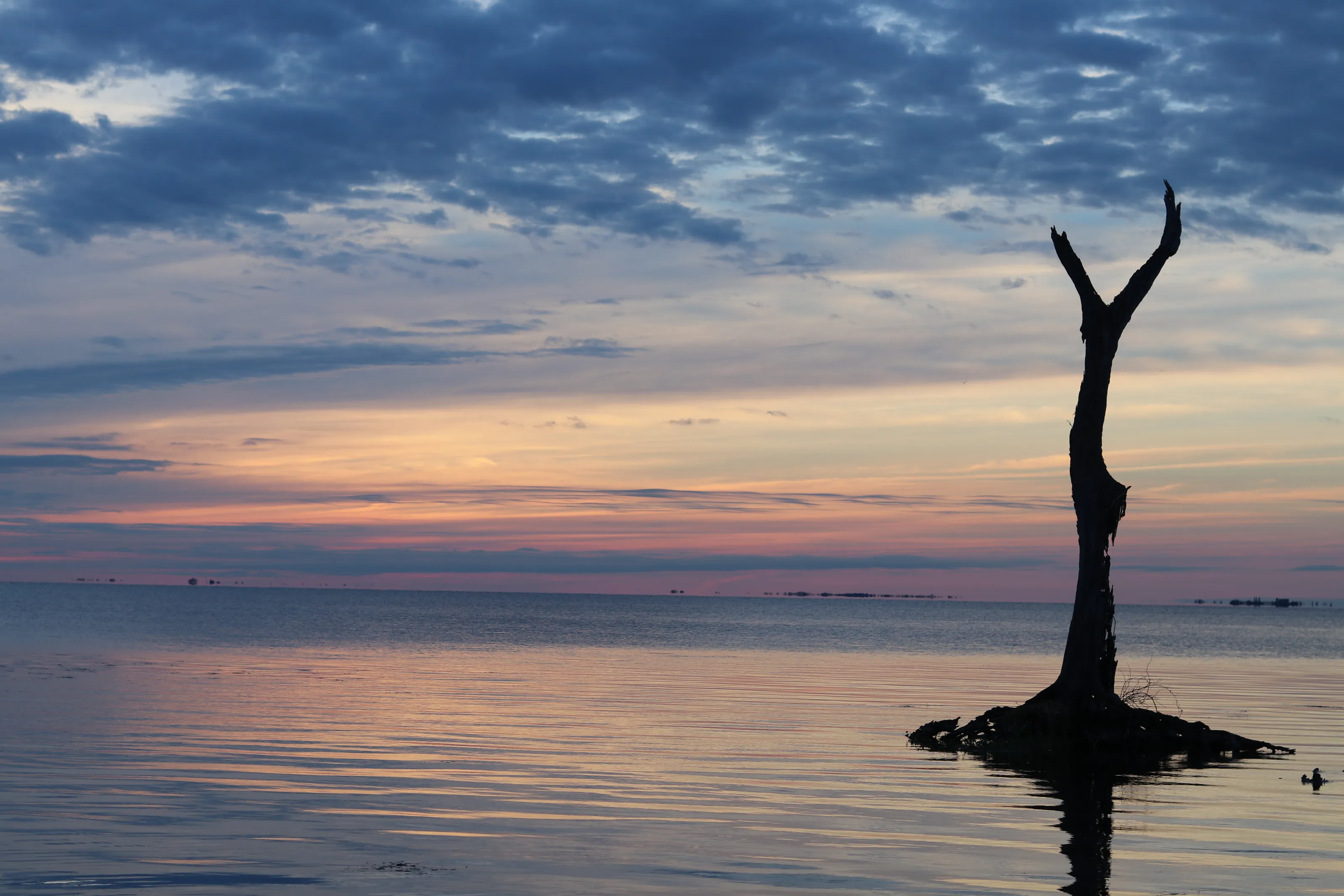 Beautifully Dead at Sunset