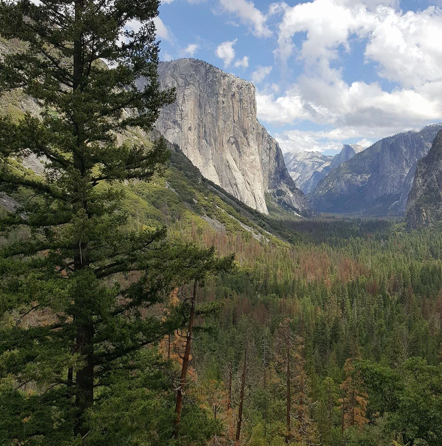 El Capitan