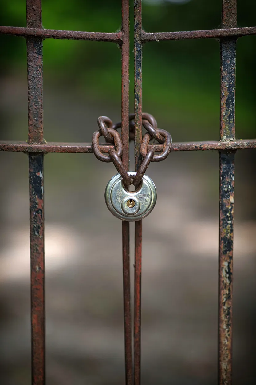 Entry 15809913
